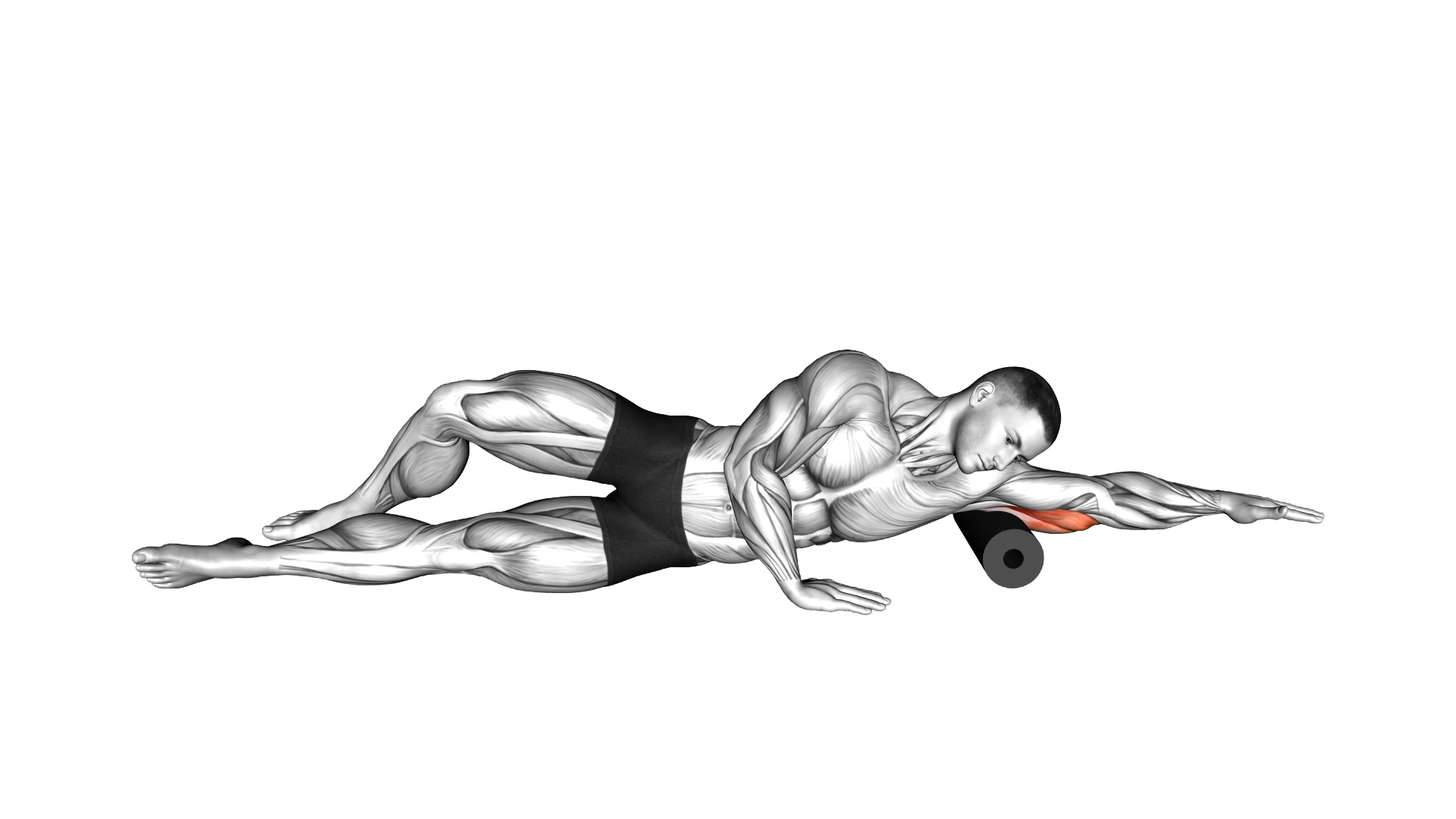Roll Triceps Side Lying on Floor exercise demonstration