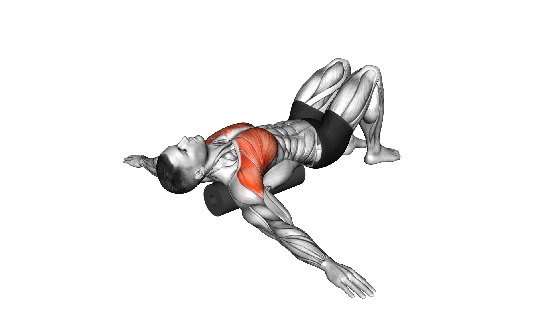 Roll Chest Opener Lying on Floor exercise demonstration