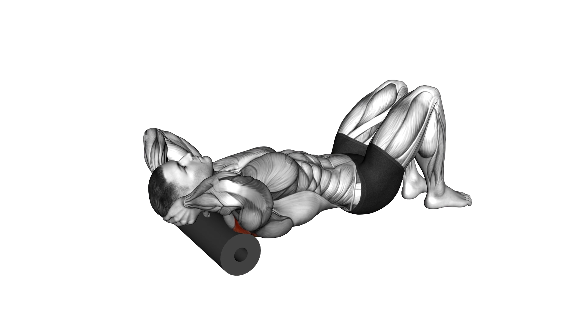Roll Shoulder Back Rotation Lying on Floor exercise demonstration