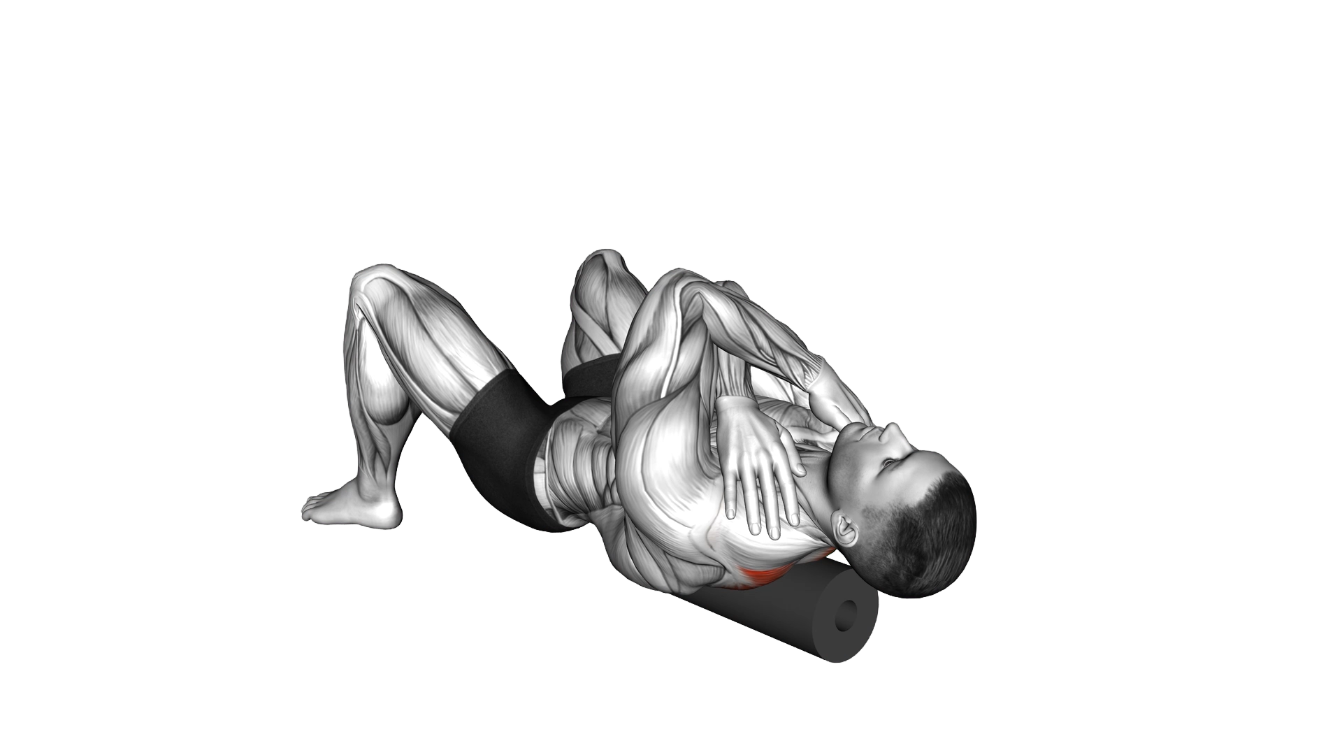 Roll Rhomboids exercise demonstration