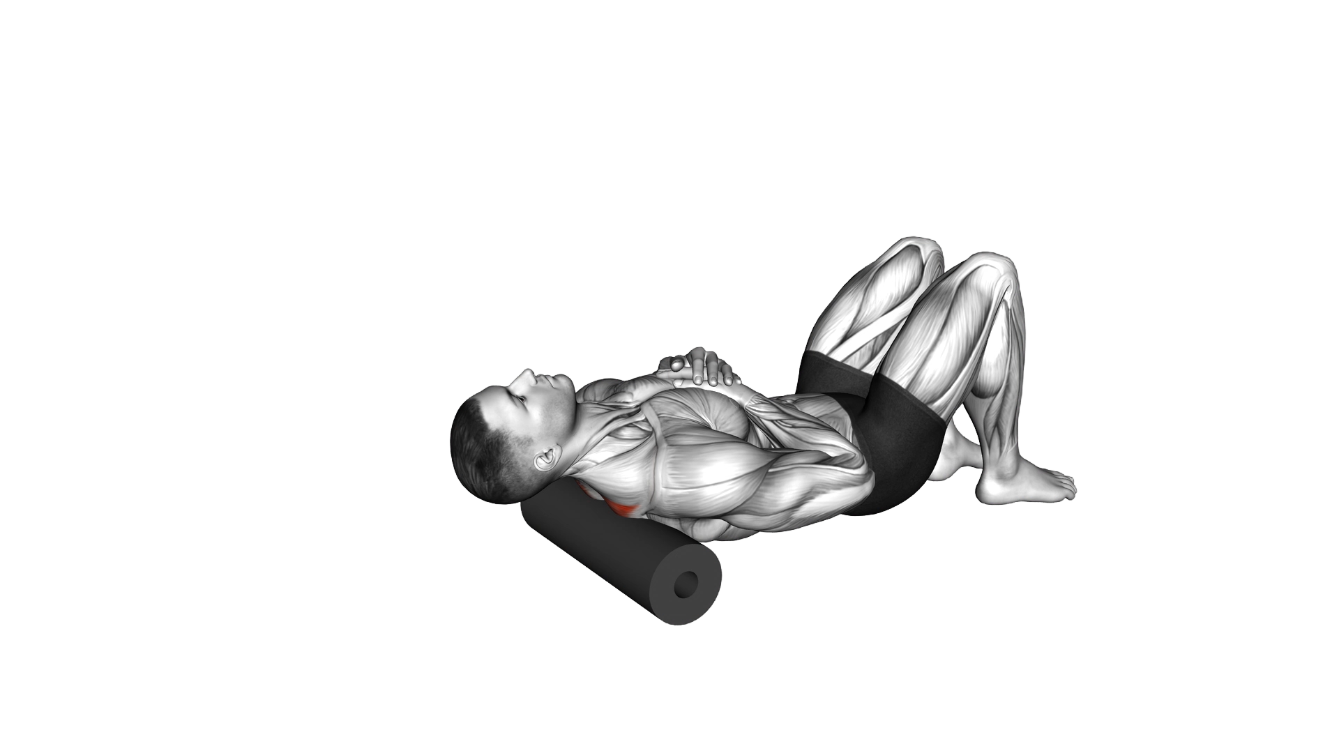 Roll Middle Back Lying on Floor exercise demonstration