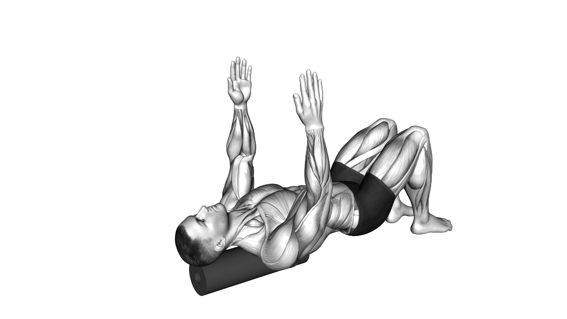 Roll Shoulder Blade Reach Lying on Floor exercise demonstration