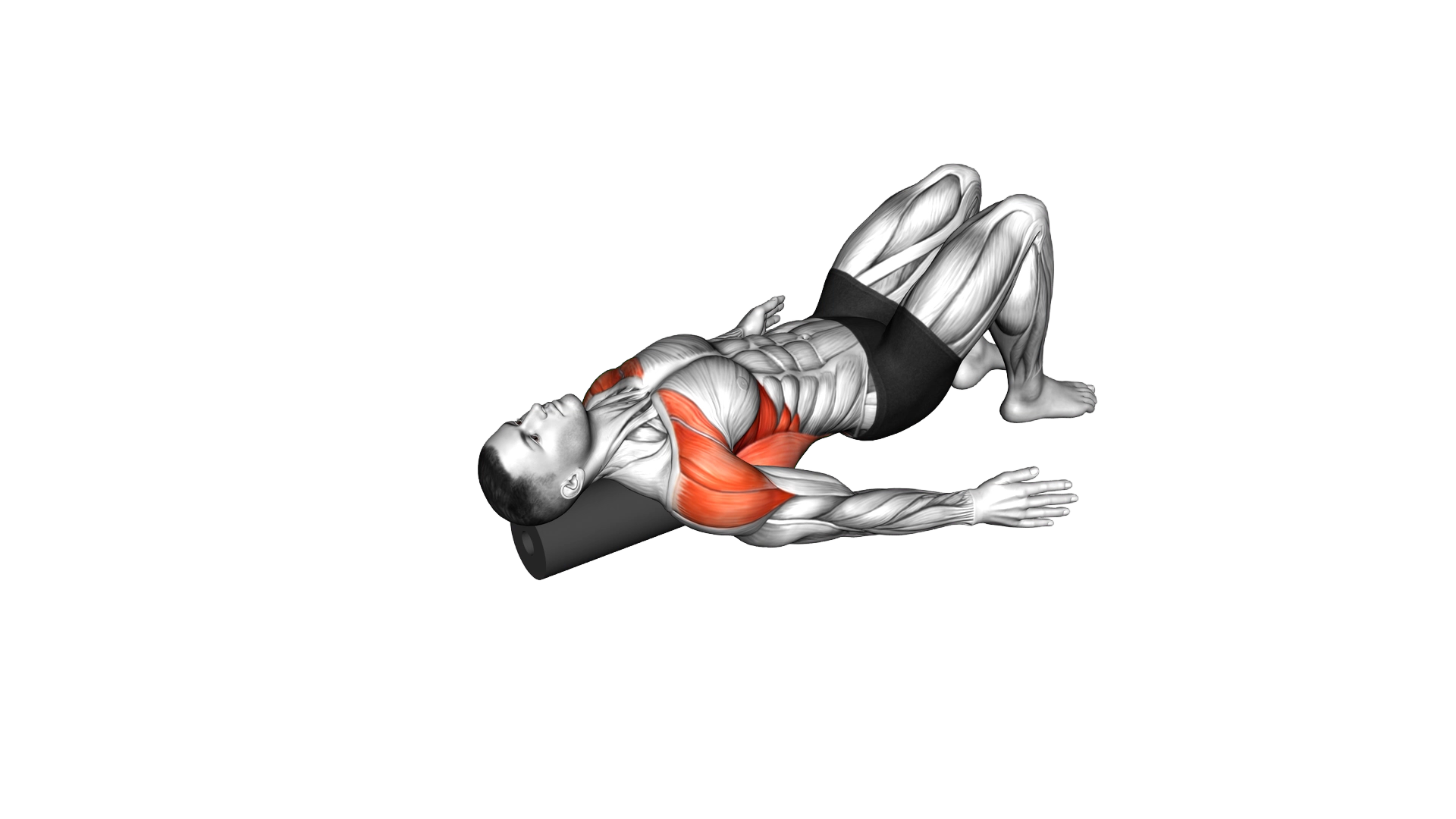 Roll Around the World Lying on Floor exercise demonstration