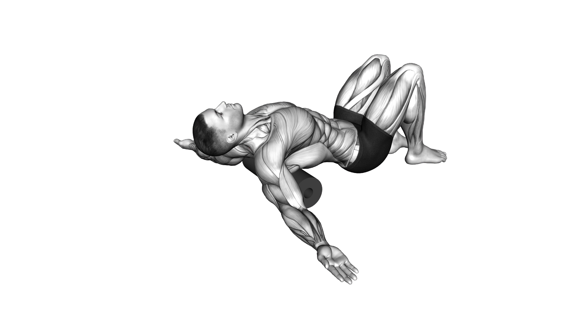 Roll Erector Spinae Lying on Floor exercise demonstration