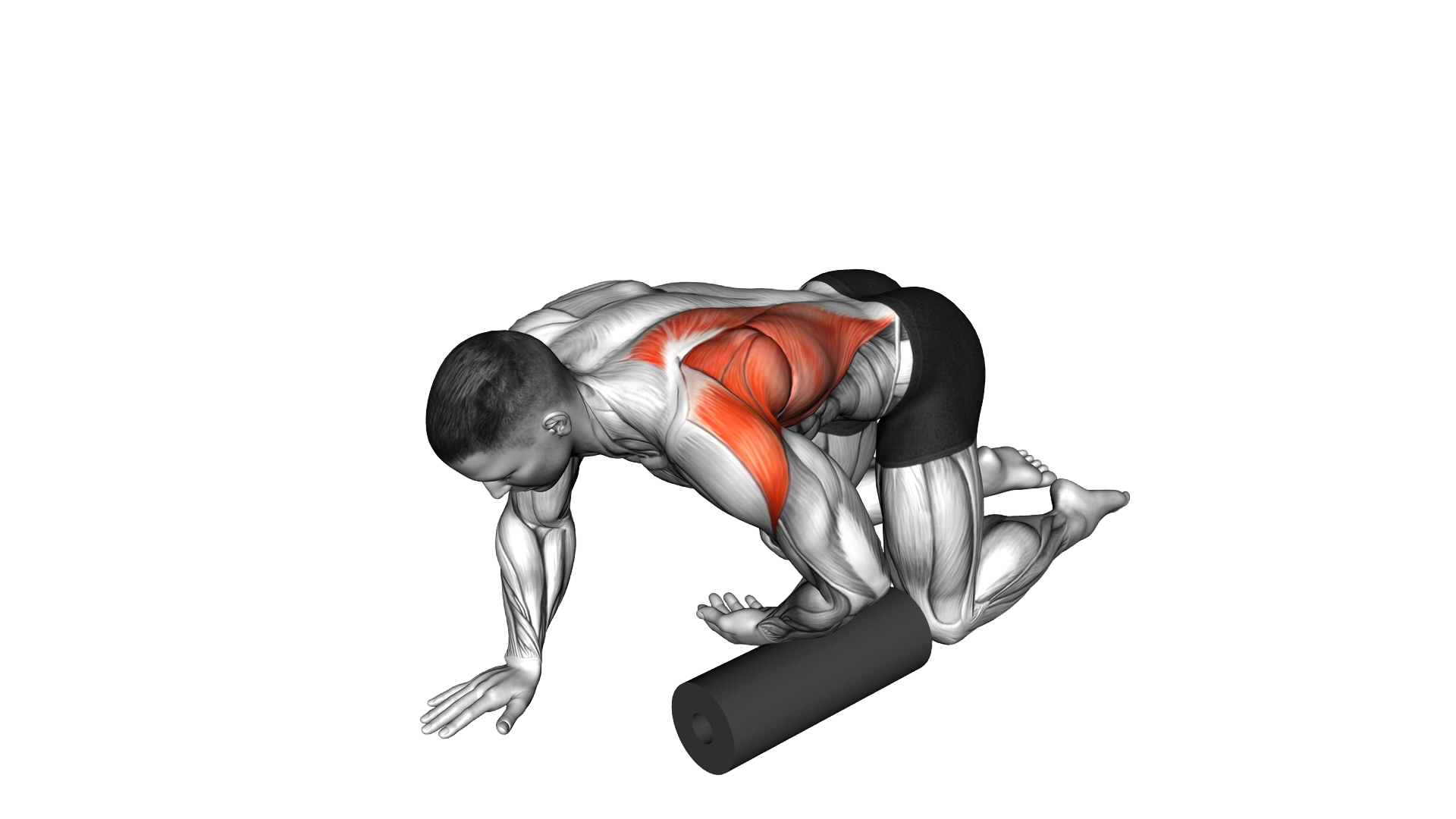 Roll Kneeling Upper Back Rotation exercise demonstration