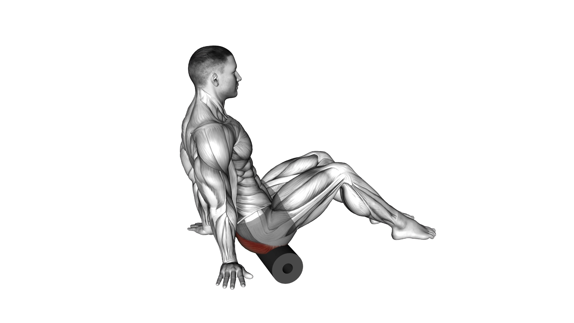 Roll Glutes Sitting on Floor exercise thumbnail