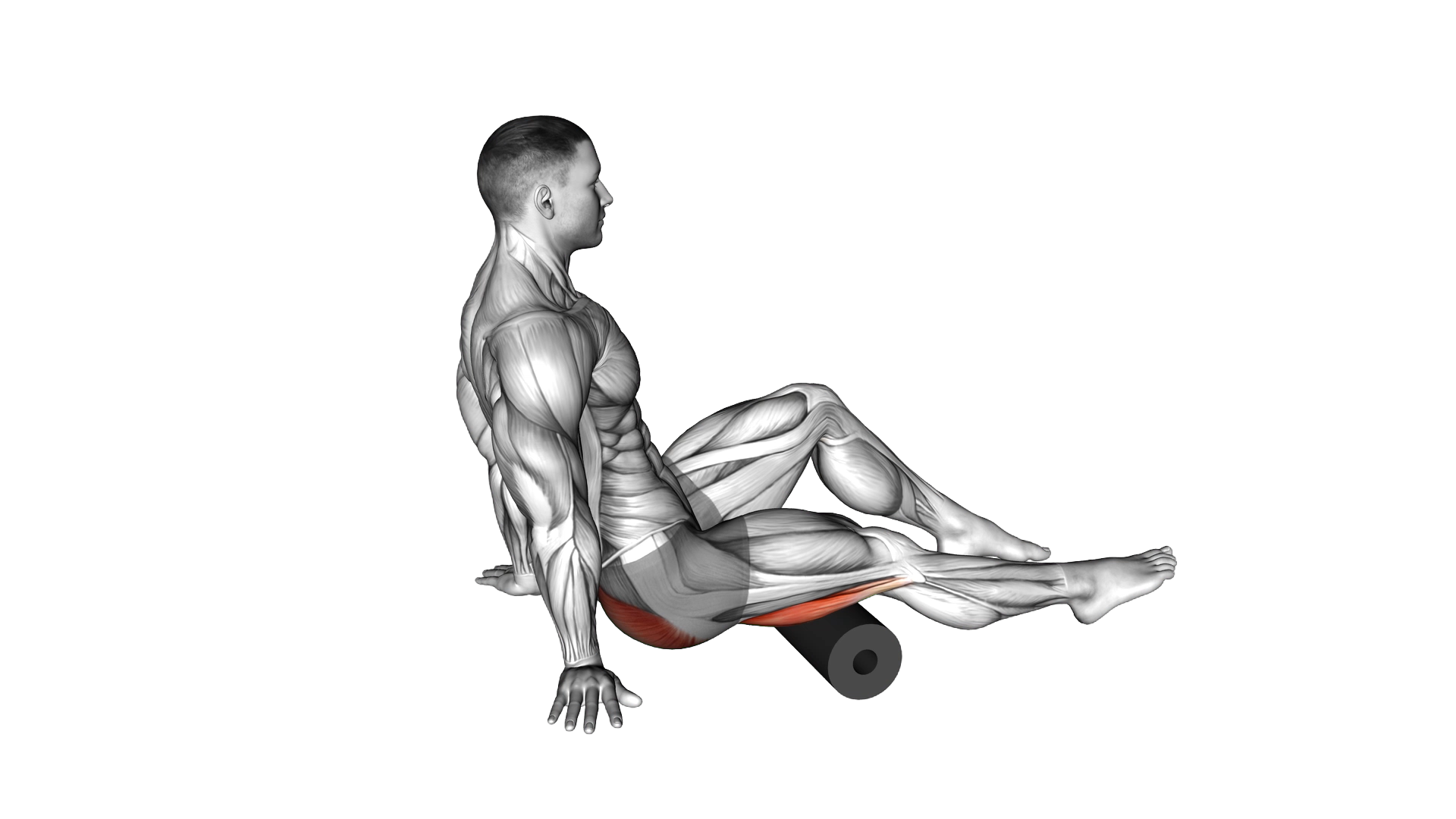 Roll Hamstrings and Glute Sitting on Floor exercise demonstration