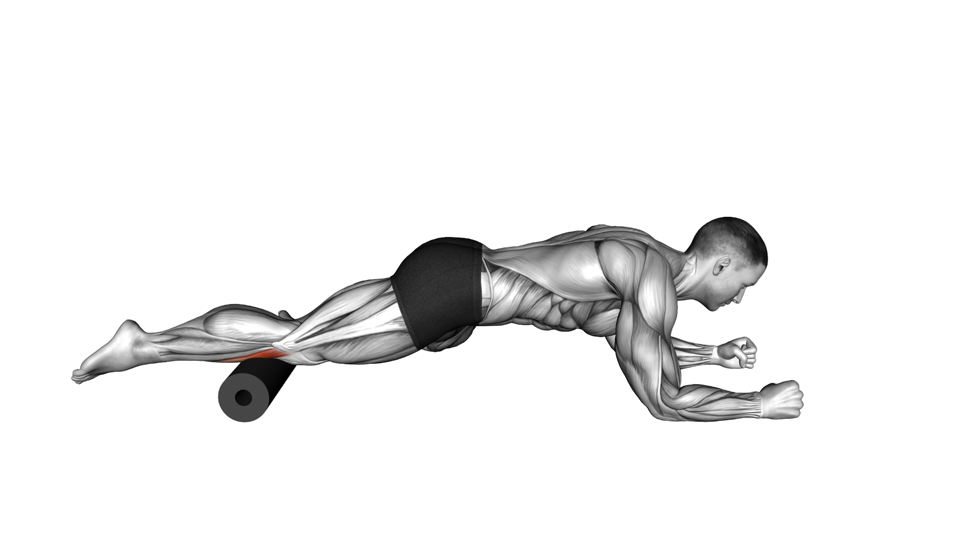 Roll Tibialis Anterior (Single Leg) Lying on Floor exercise demonstration