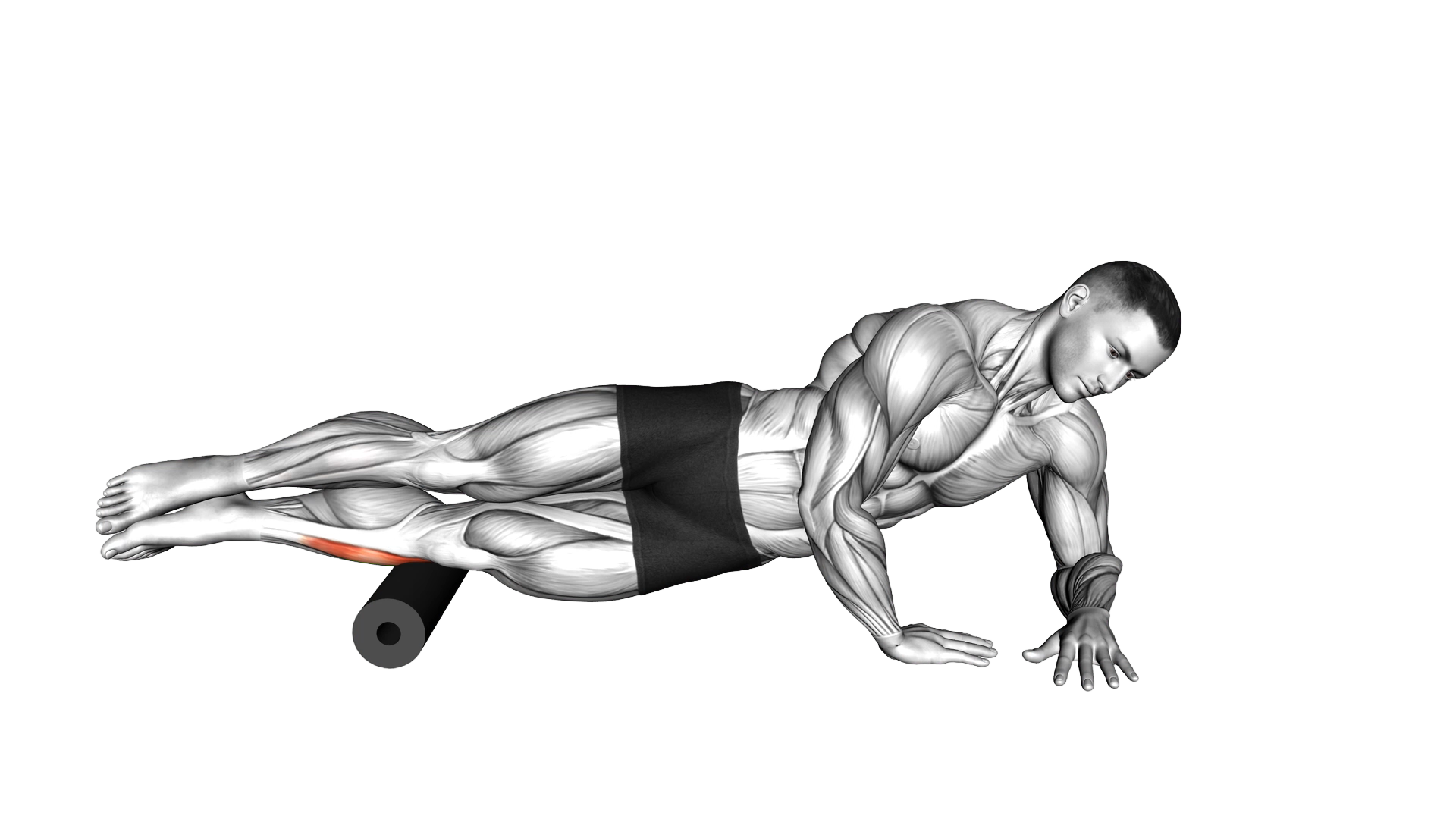 Roll Peroneal Side Lying on Floor exercise demonstration