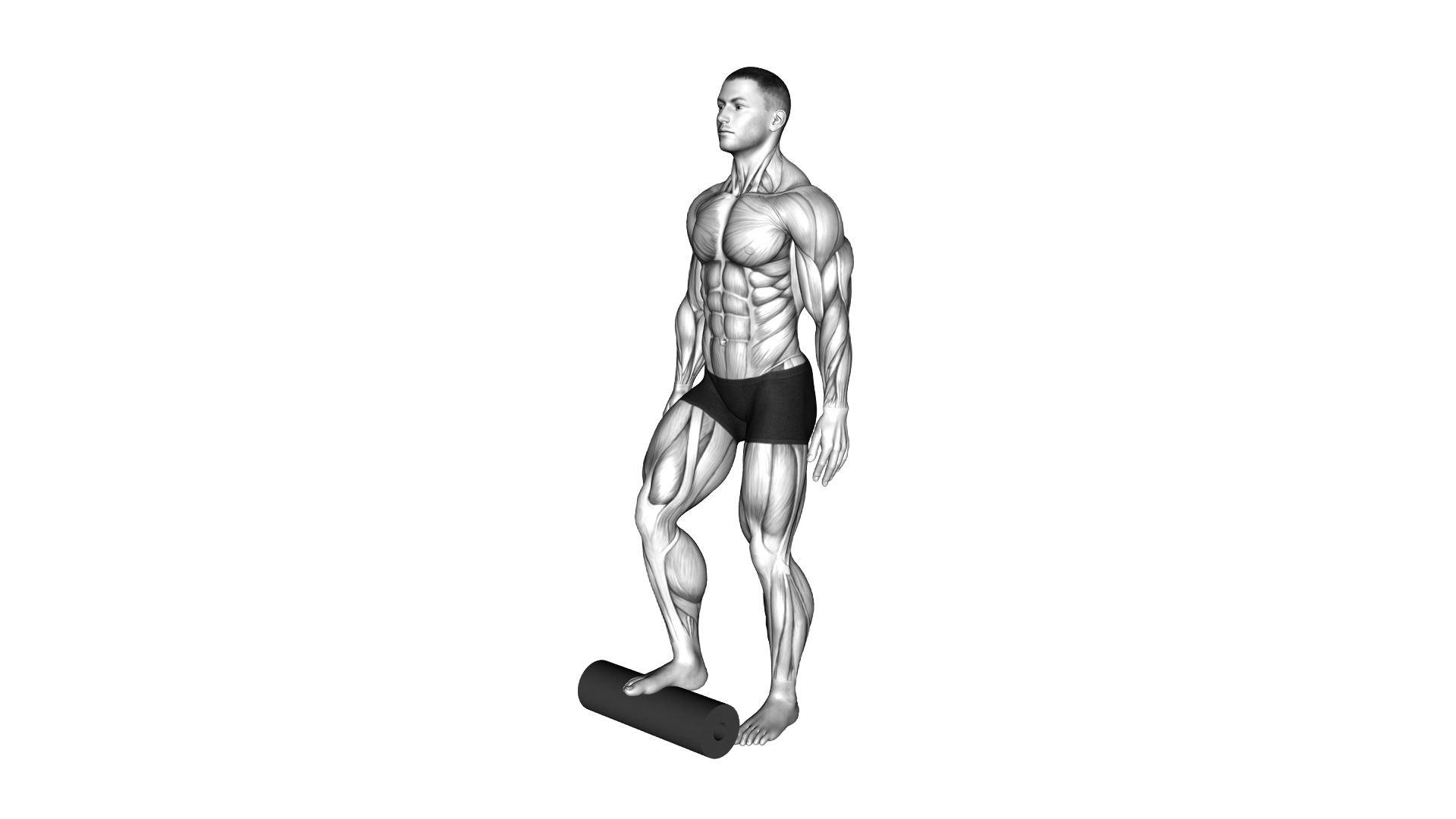 Roll Foot exercise demonstration