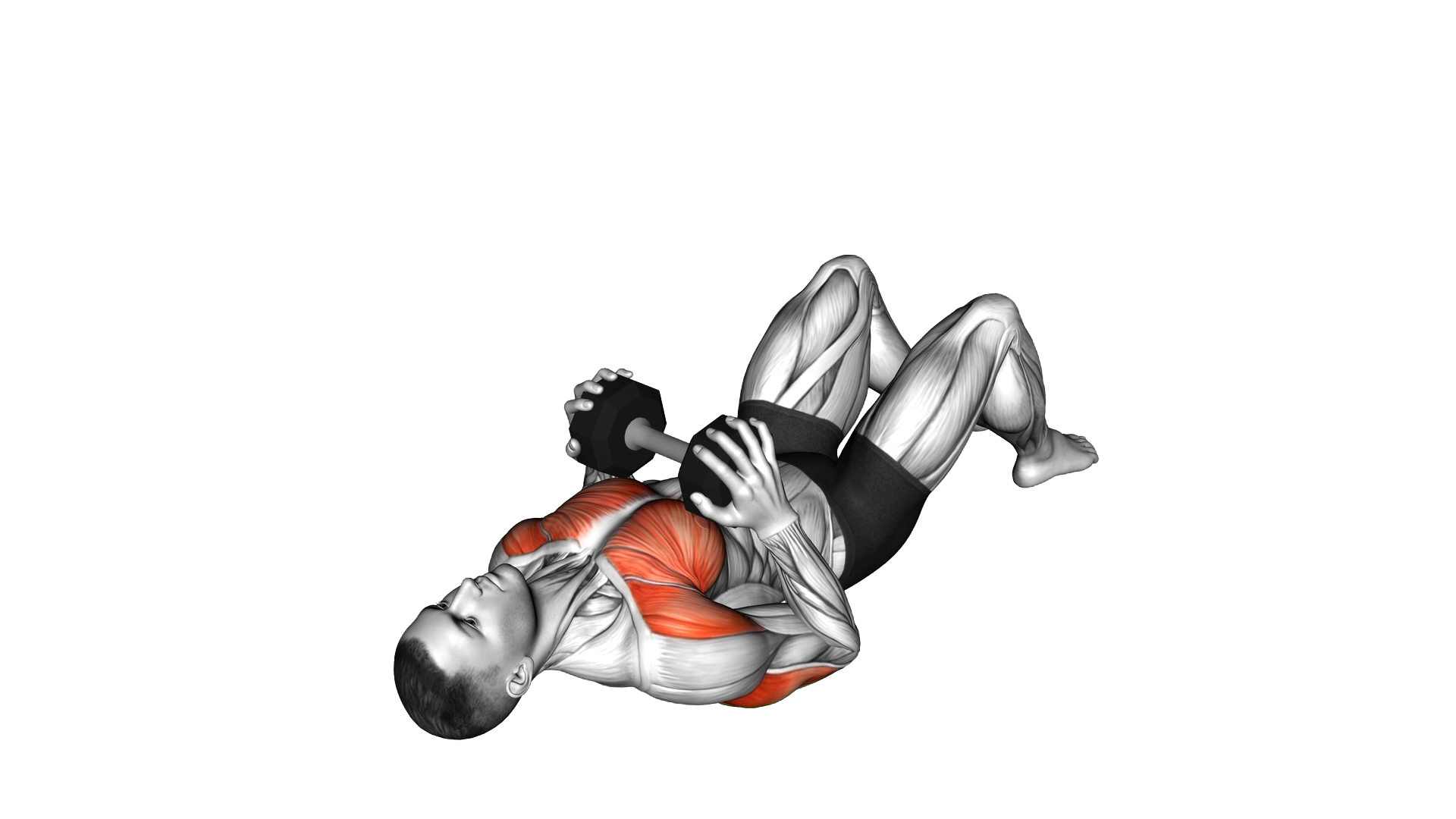 Dumbbell Squeeze Press on Floor exercise demonstration