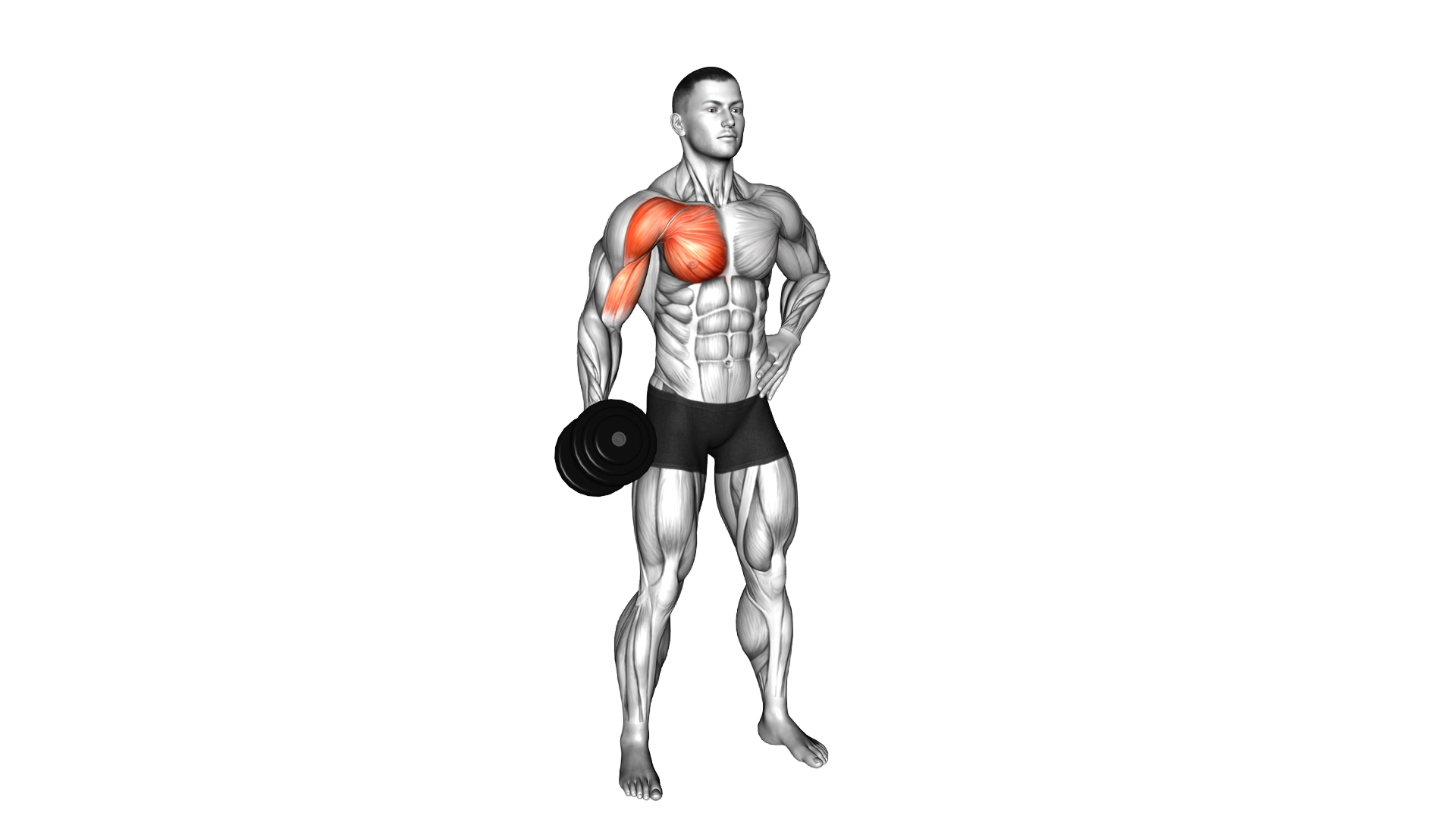 Dumbbell Standing Single Arm Cross Raise exercise demonstration