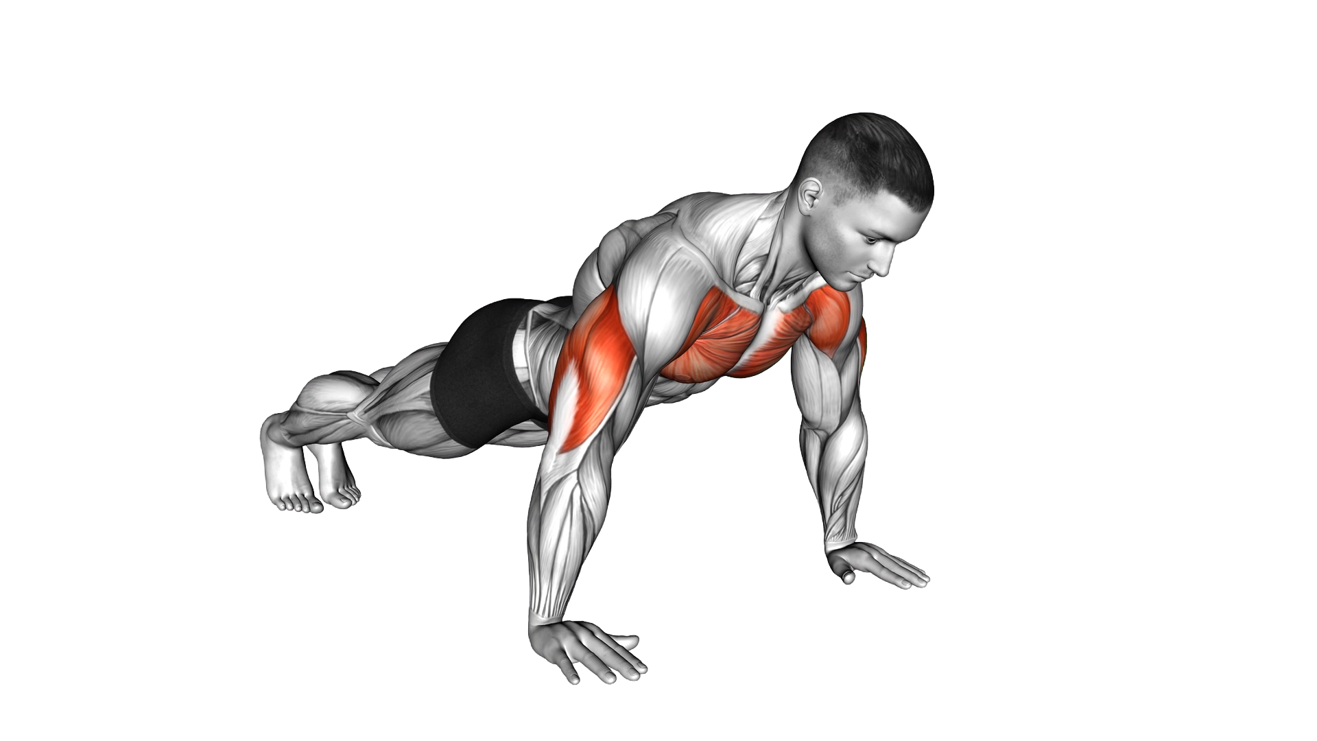 Explosive Push Up exercise demonstration