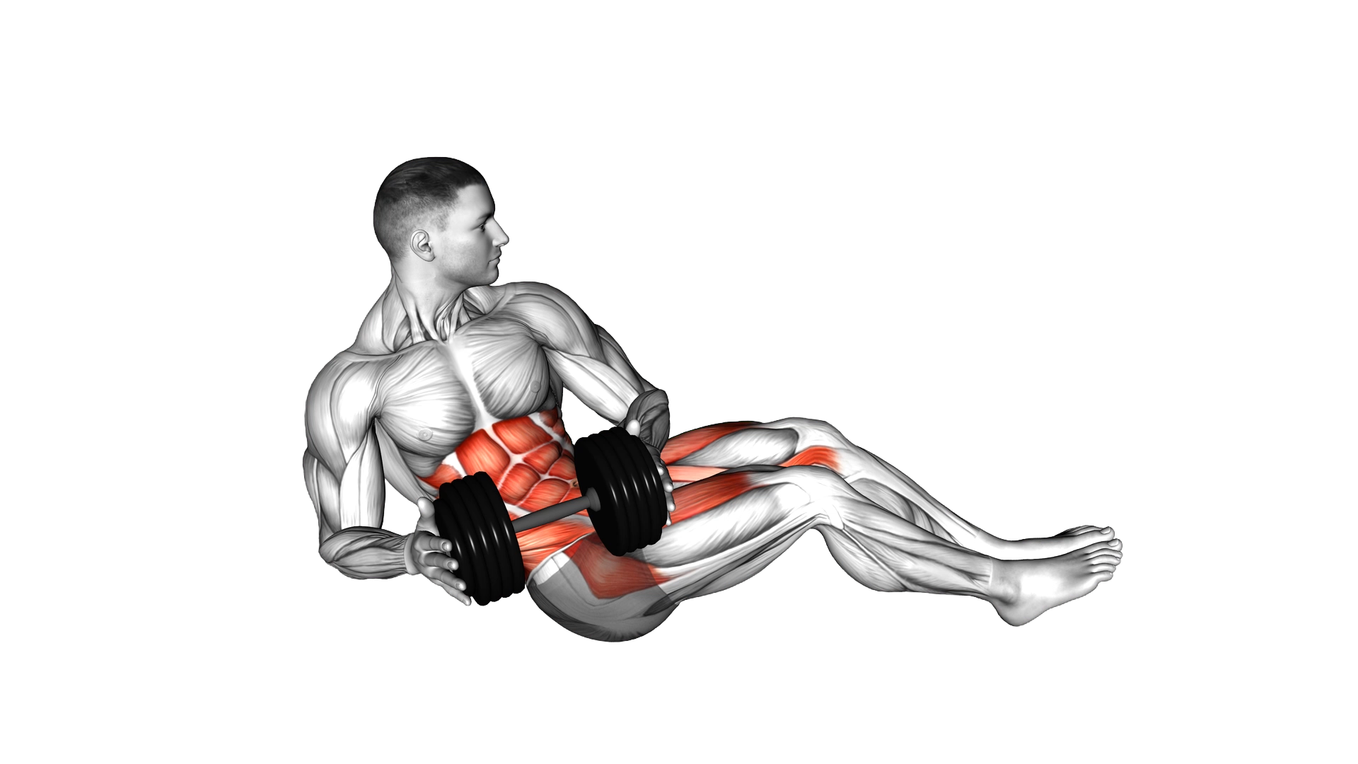 Dumbbell Russian Twist with Legs Floor Off (VERSIO exercise demonstration