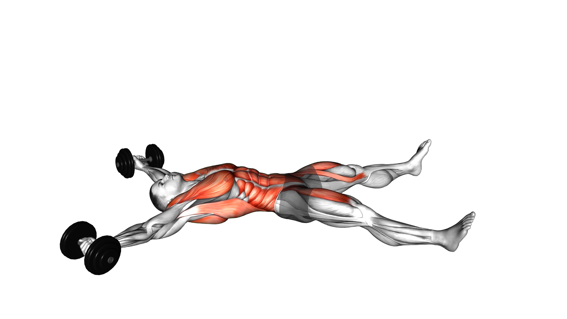 Dumbbell Starfish Crunch (beginner) exercise demonstration