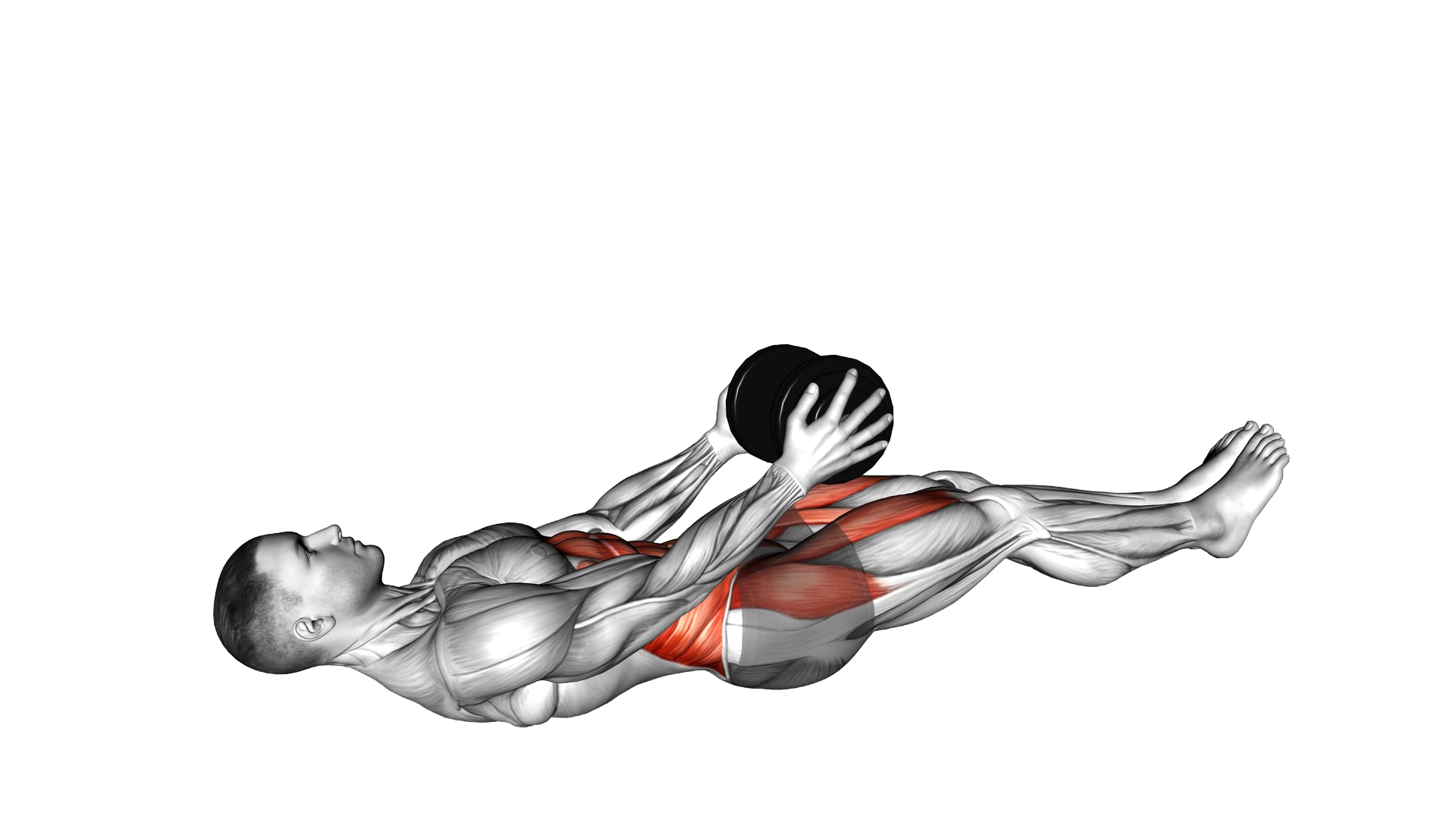 Dumbbell Crunch Hold with Legs Off exercise demonstration