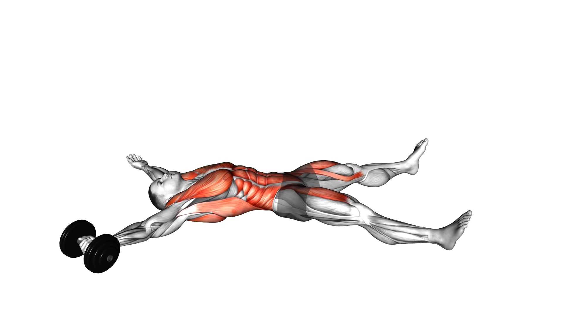 Dumbbell Single Arm Starfish Crunch (beginner) (ma exercise demonstration