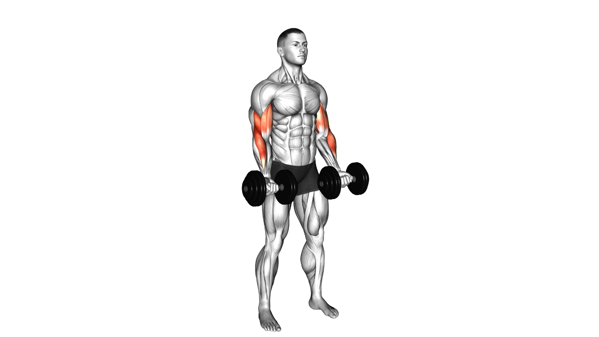 Dumbbell 21s exercise demonstration