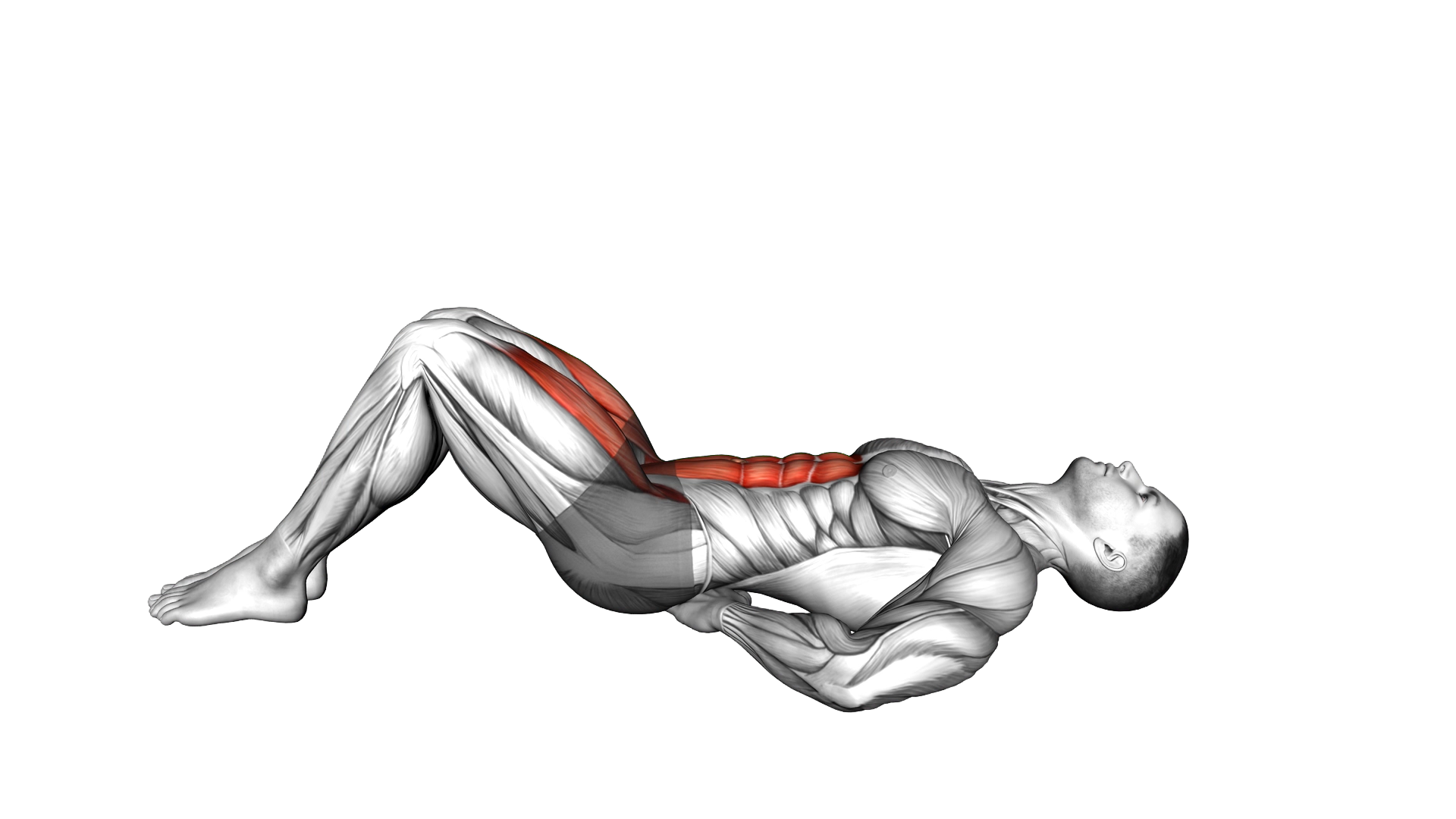 Lying Bent Legs Raise exercise demonstration