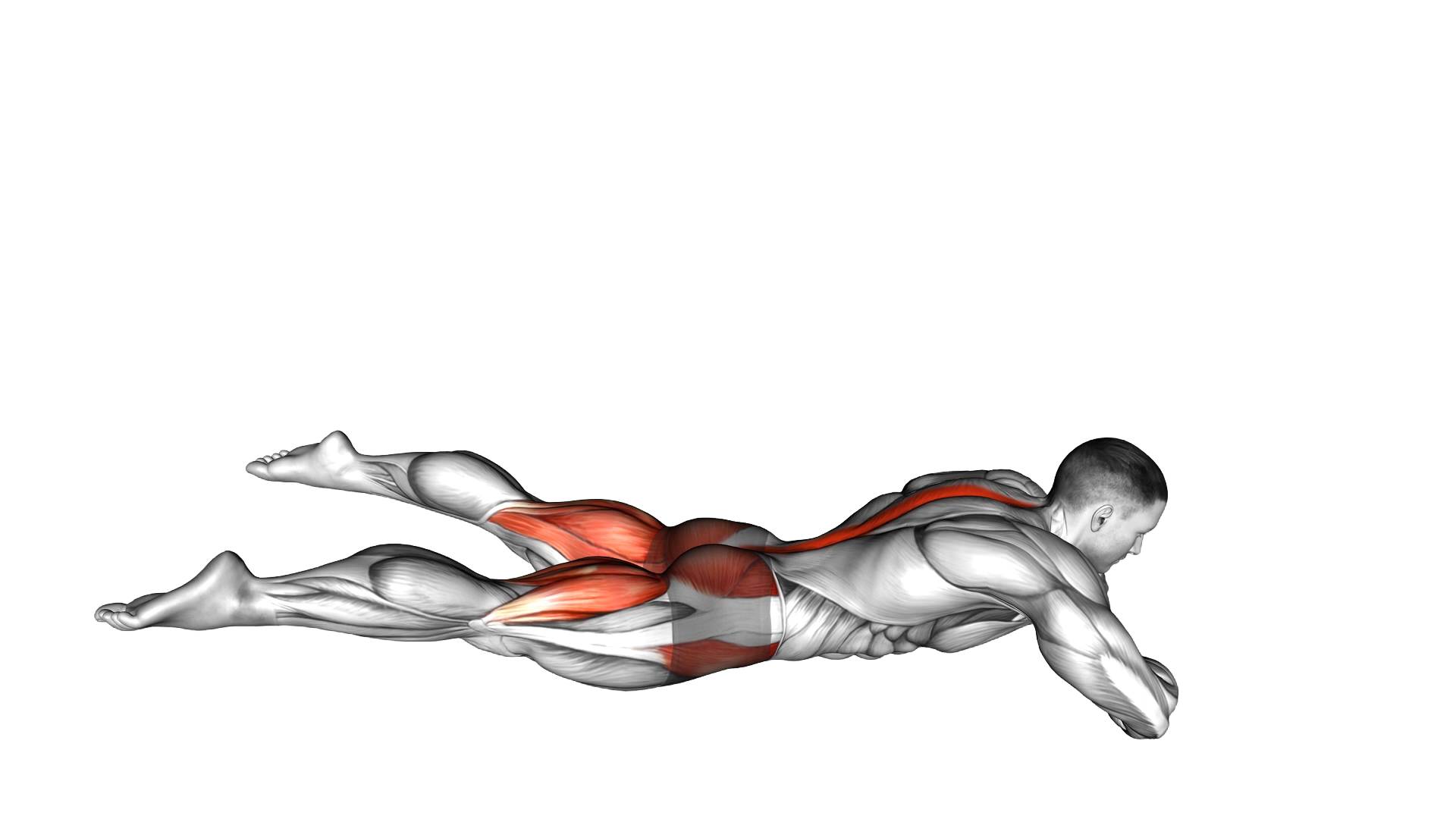 Frog Reverse Hyperextension Tap on Floor exercise demonstration