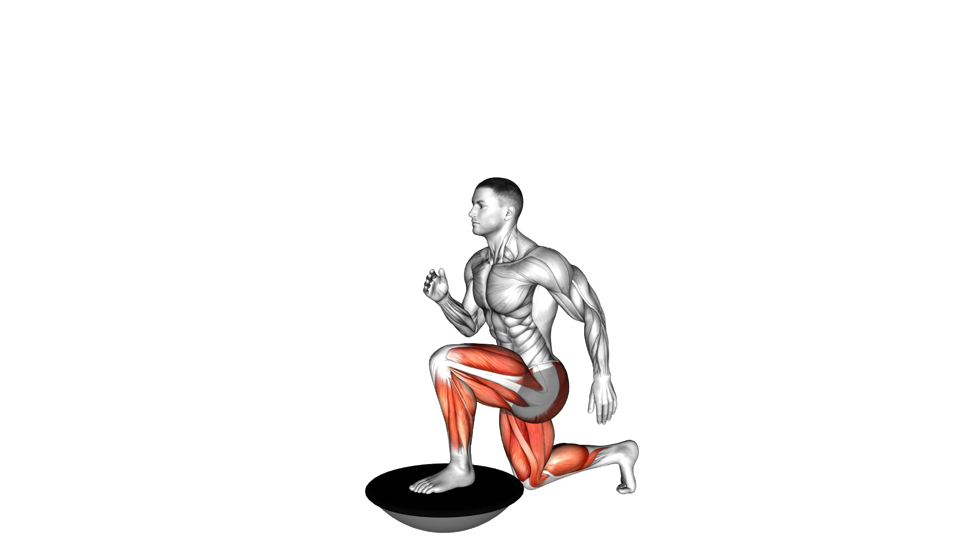 High Knee Lunge on Bosu Ball exercise demonstration