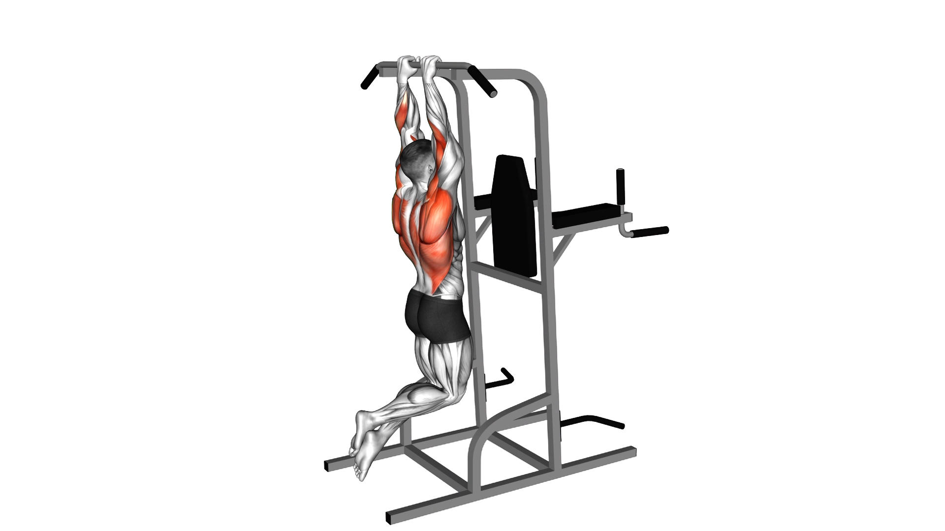 Close Grip Pull Up exercise thumbnail