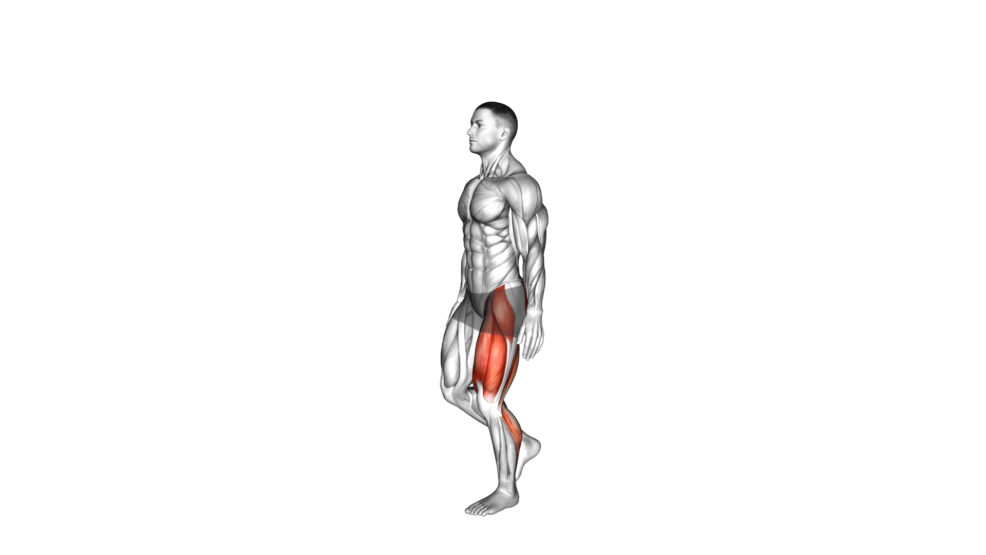 Single Leg Hopping exercise demonstration