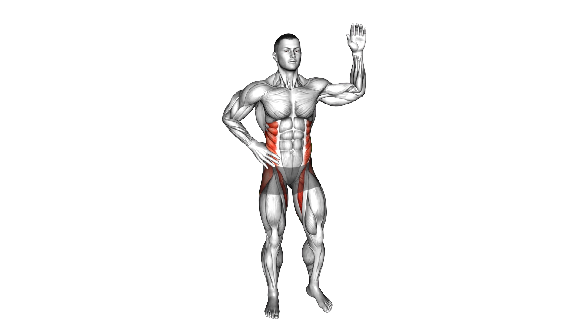 Standing Side Crunch Elbow to Knee exercise demonstration