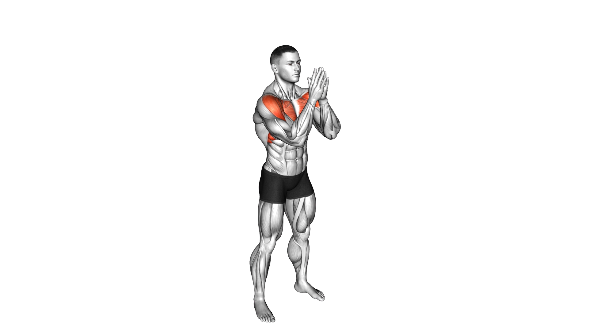 Standing Elbow Clap exercise demonstration