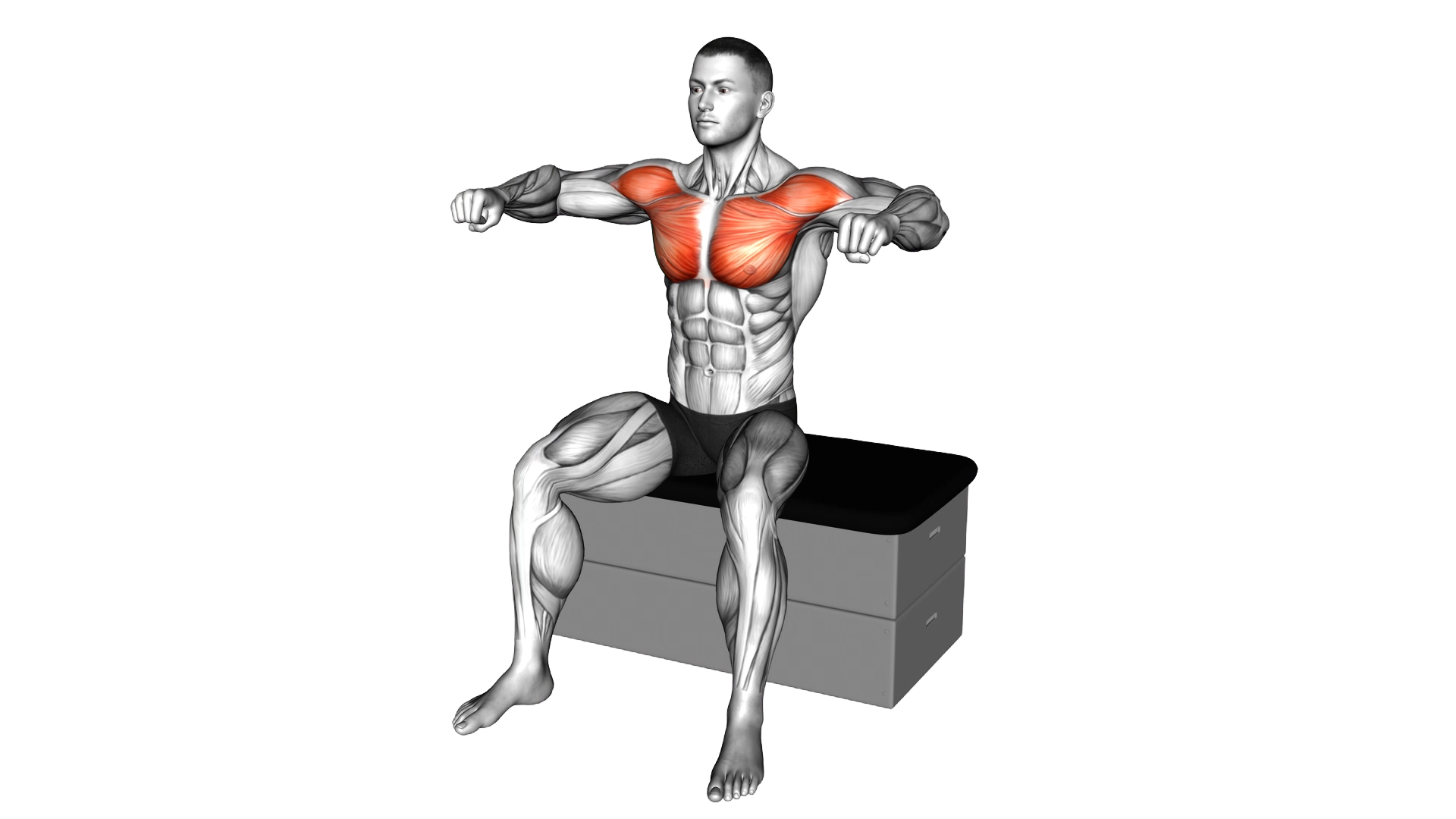Seated Shoulder 90 degrees Internal Rotation exercise demonstration