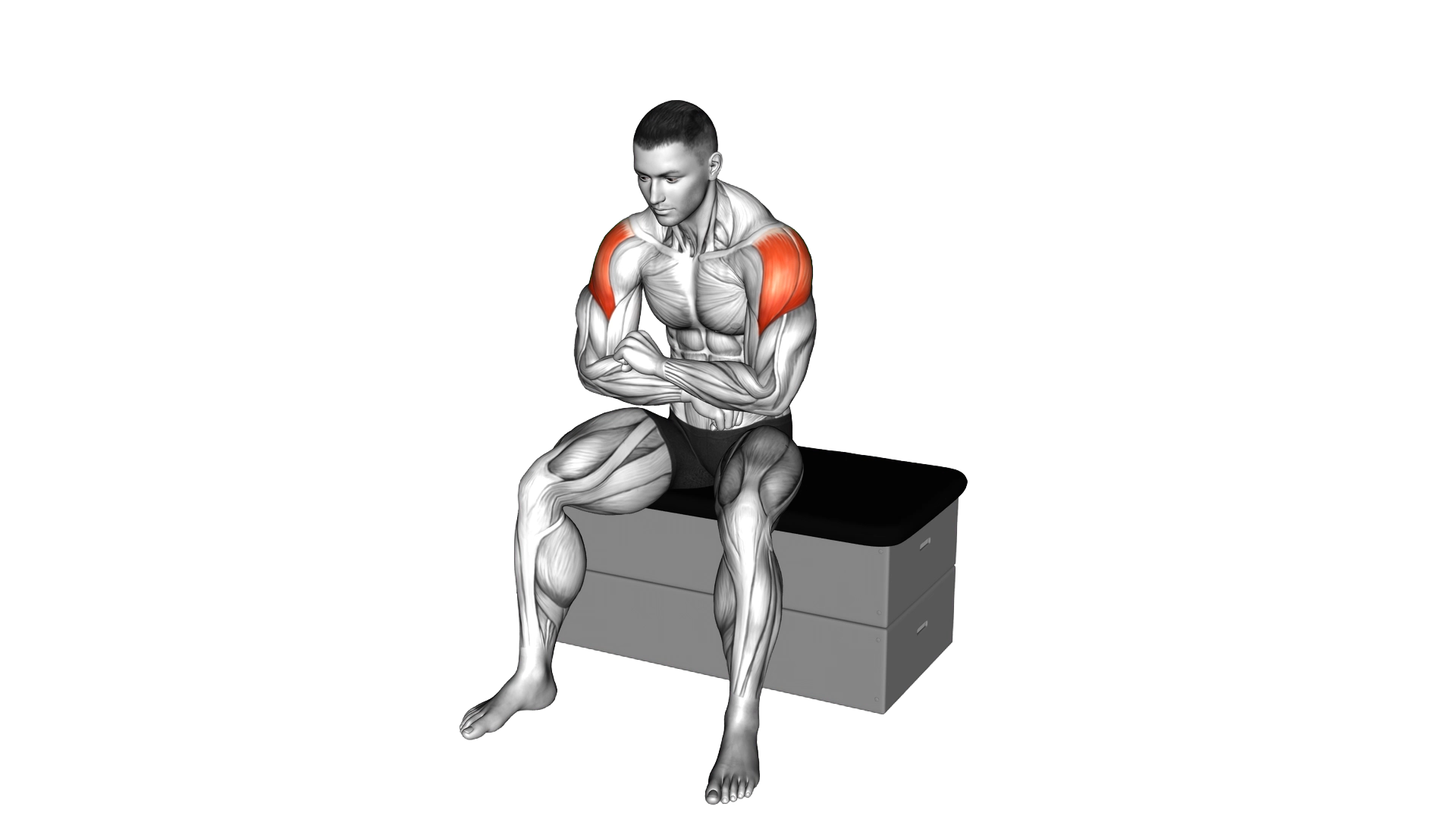 Seated Learning Back Stretch exercise demonstration
