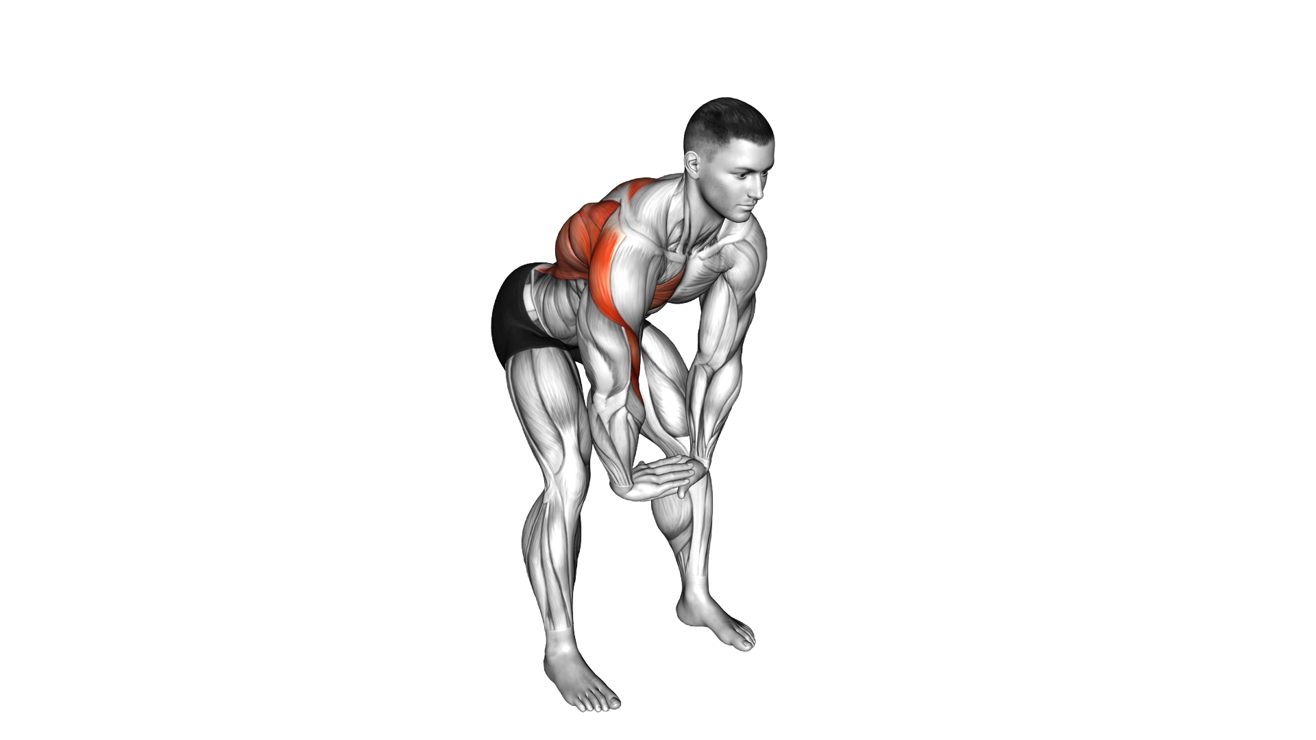 Chest Pull Back exercise demonstration