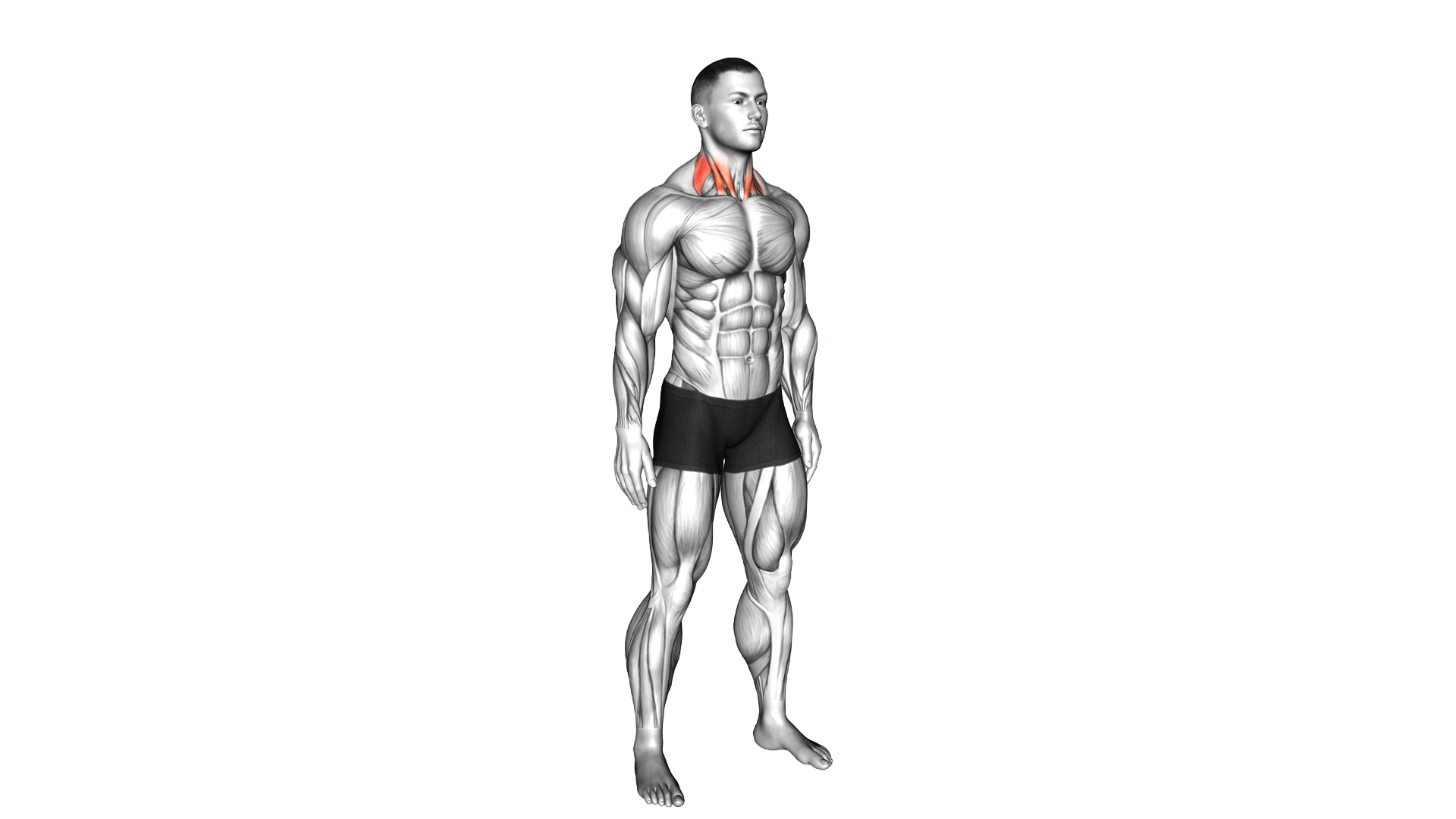 Backward Forward Turn to Side Neck Stretch exercise demonstration