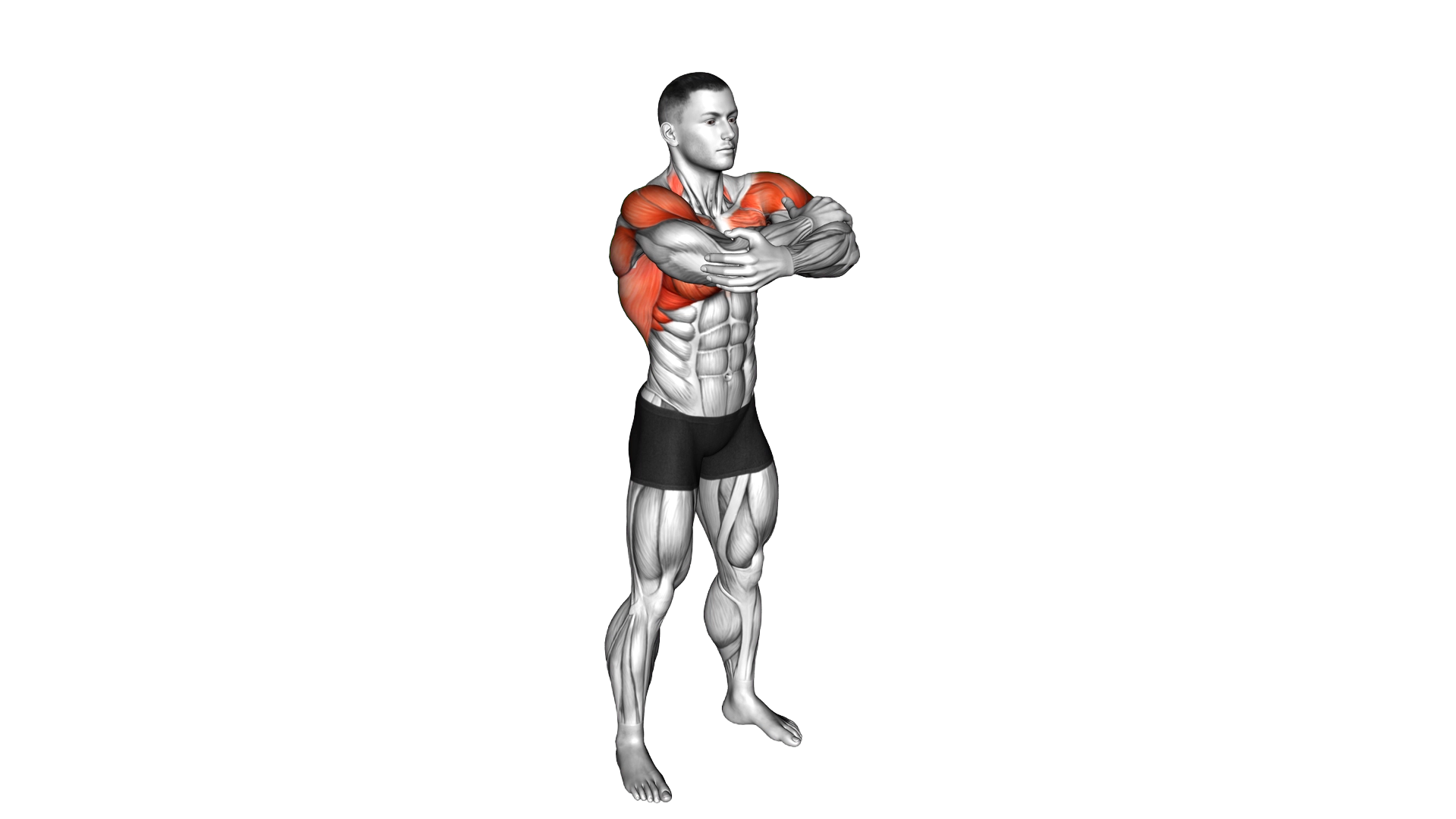 Standing Shoulders Full Flexion exercise demonstration