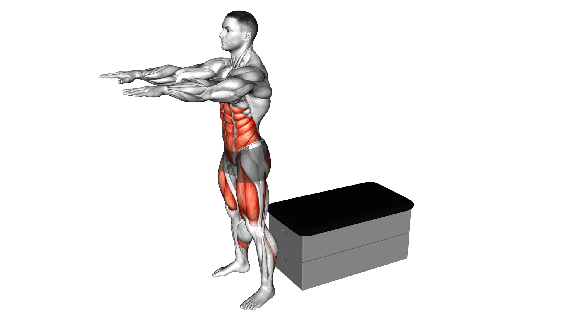 Sit up Stand up exercise demonstration