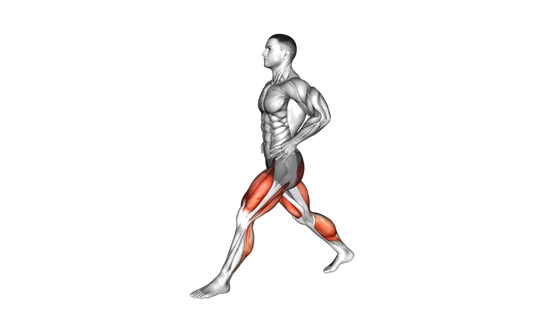 Shuffle Hops exercise demonstration