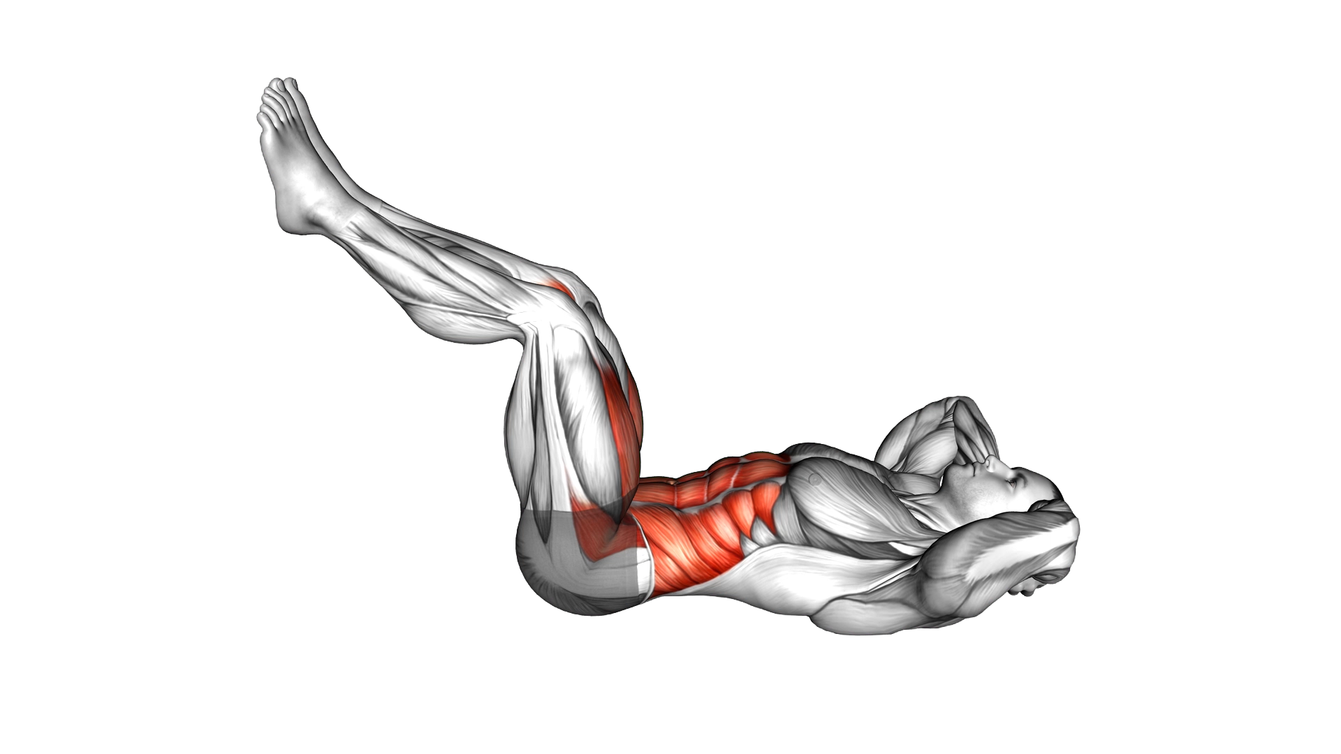 Twist Crunch (Legs Up) exercise demonstration
