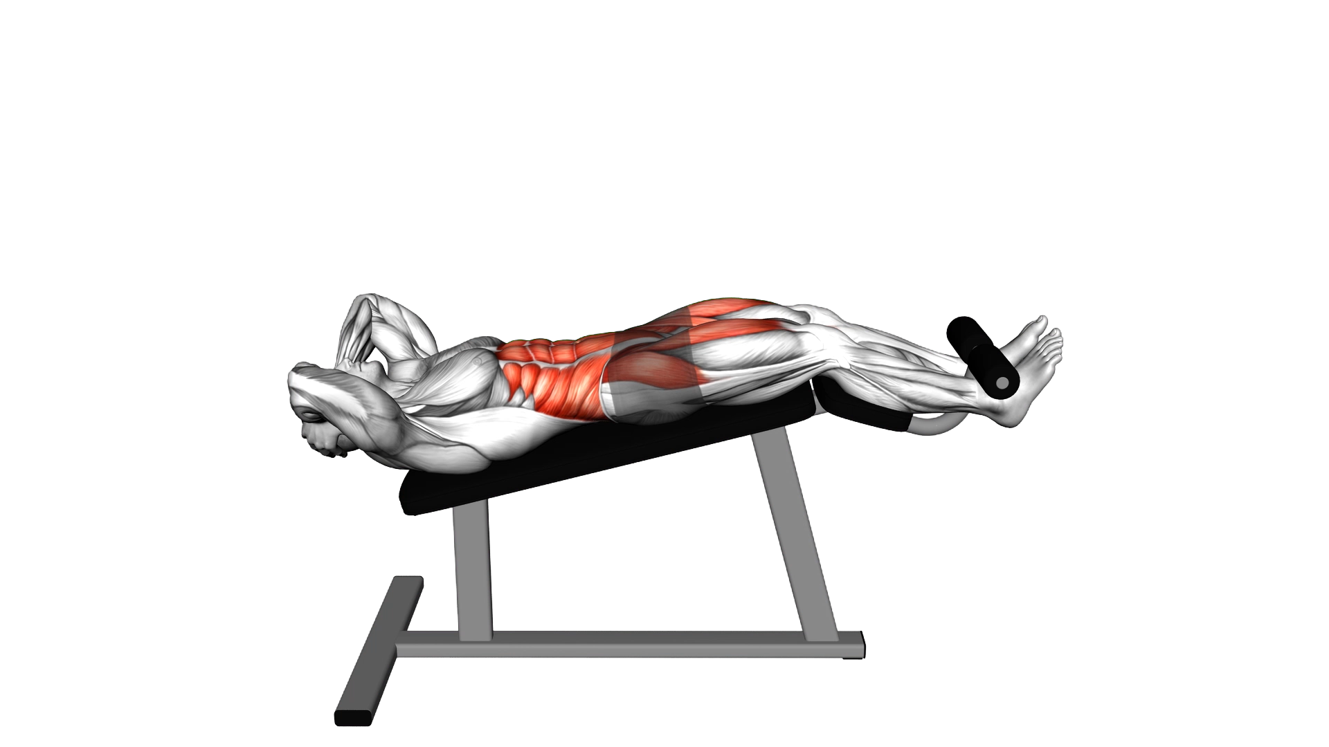Decline Sit Up exercise demonstration