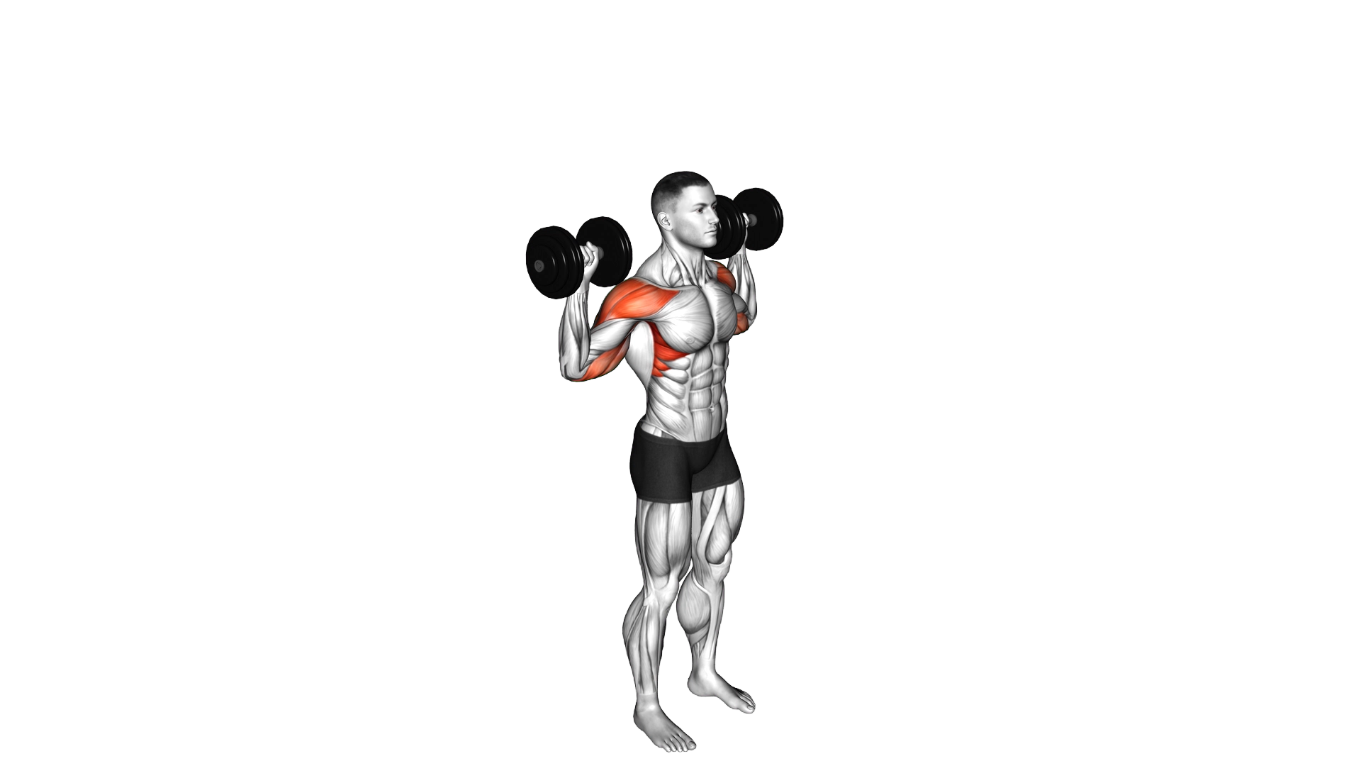 Dumbbell Standing Behind Back Shoulders Press exercise demonstration