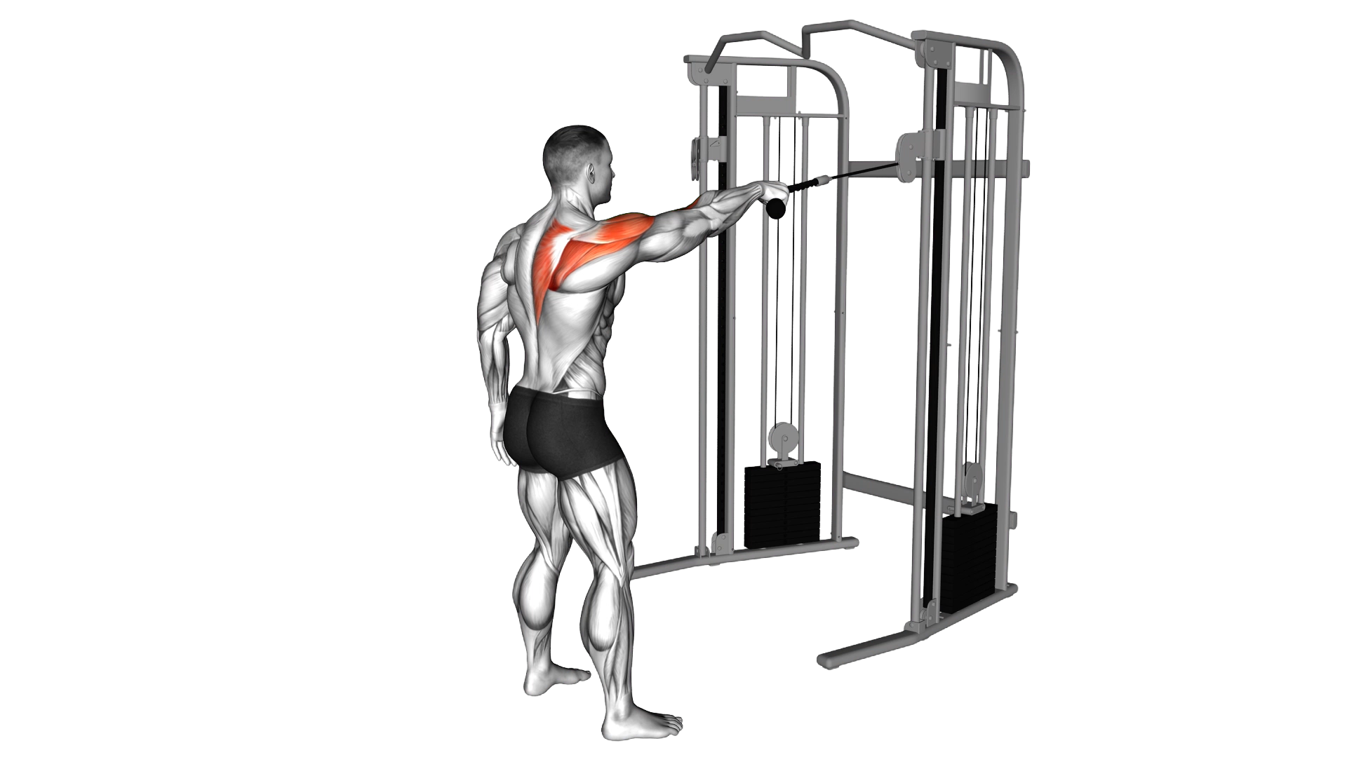 Cable Standing One Arm Face Pull exercise demonstration
