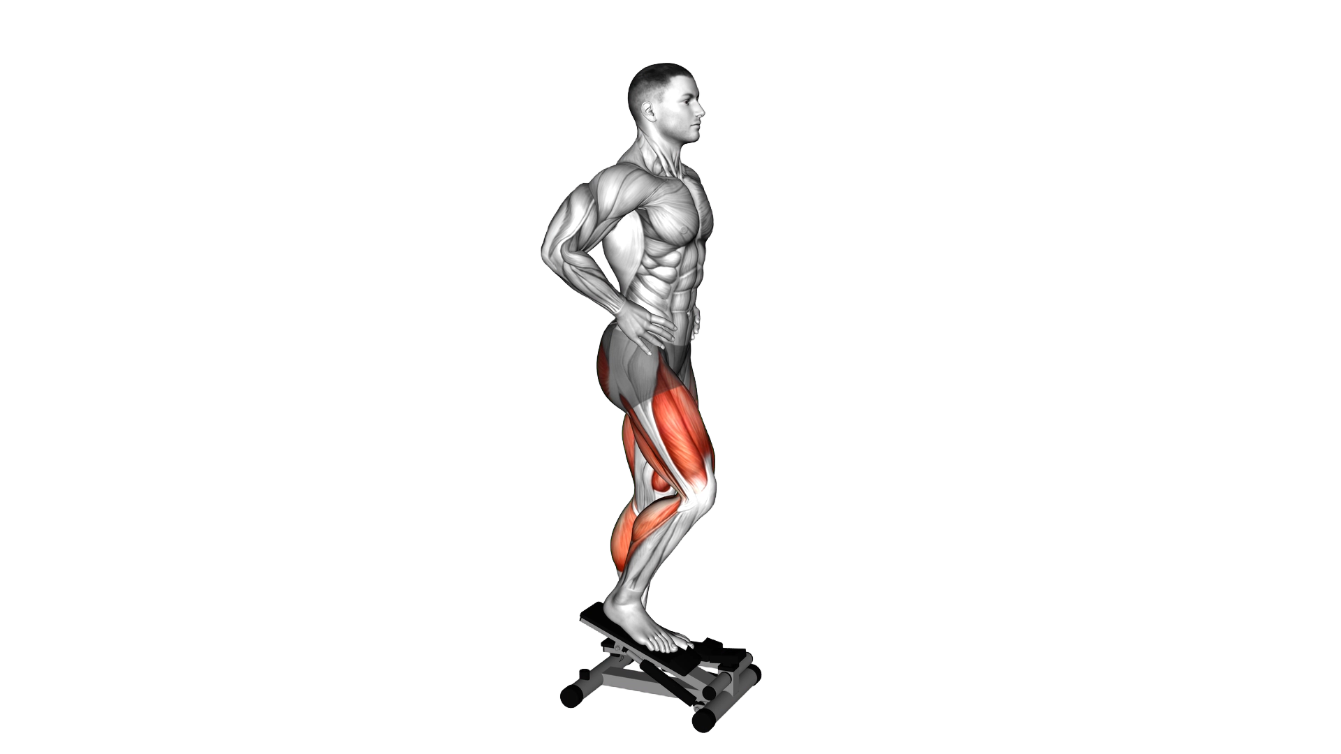 Lever Step exercise demonstration
