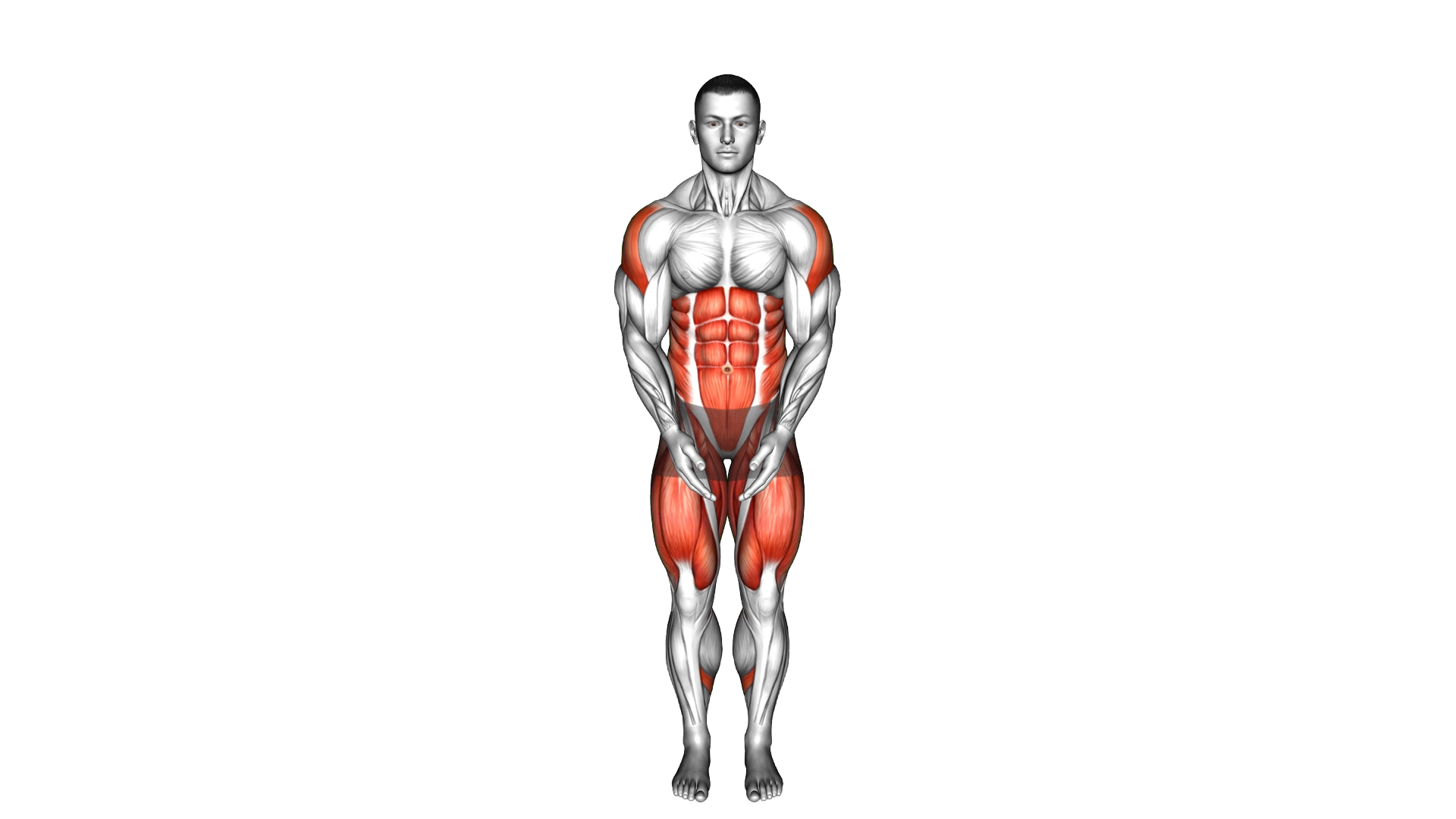 Rear Fly Stepback exercise demonstration