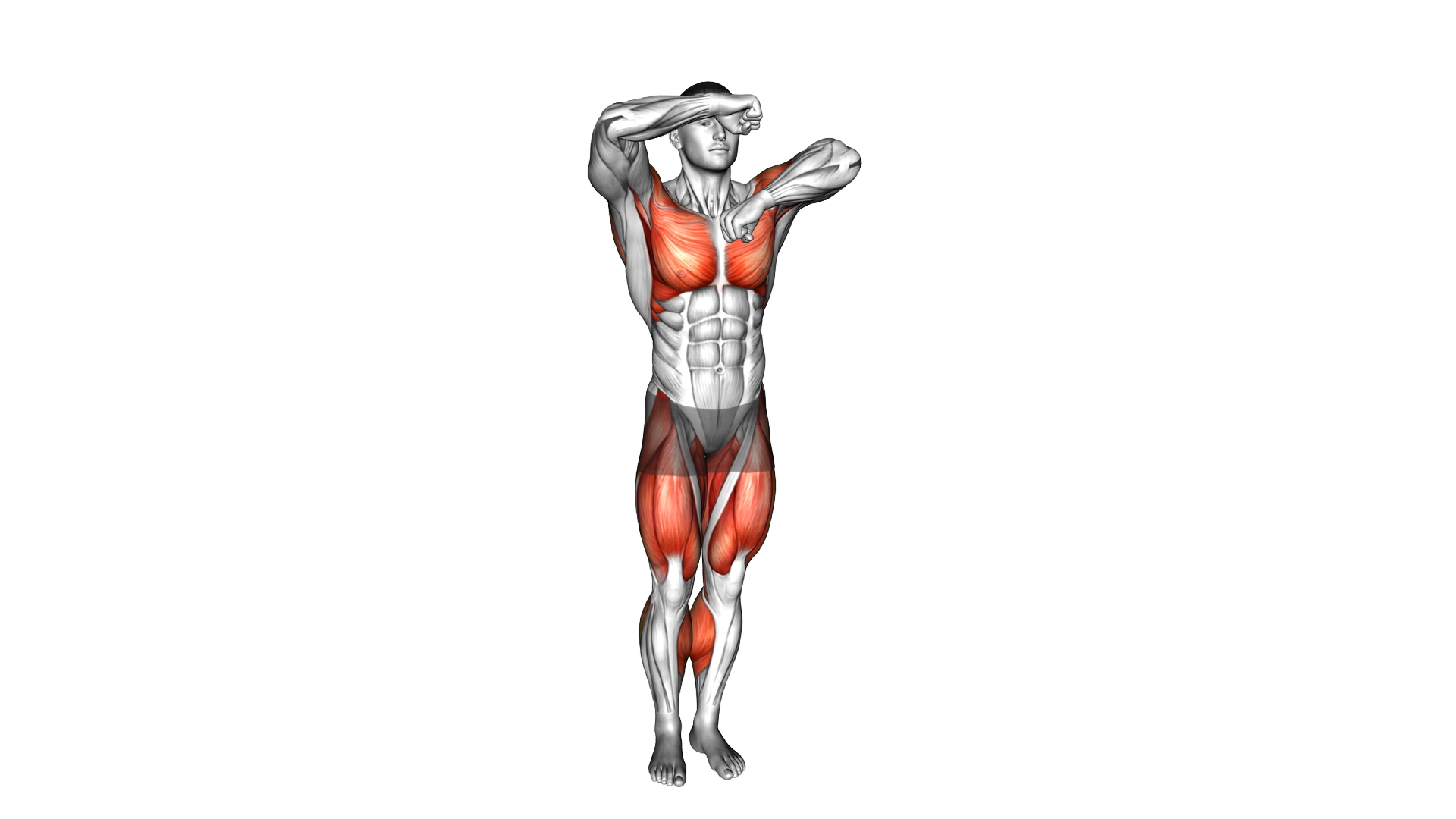 Side Step Boxing Handroll exercise thumbnail