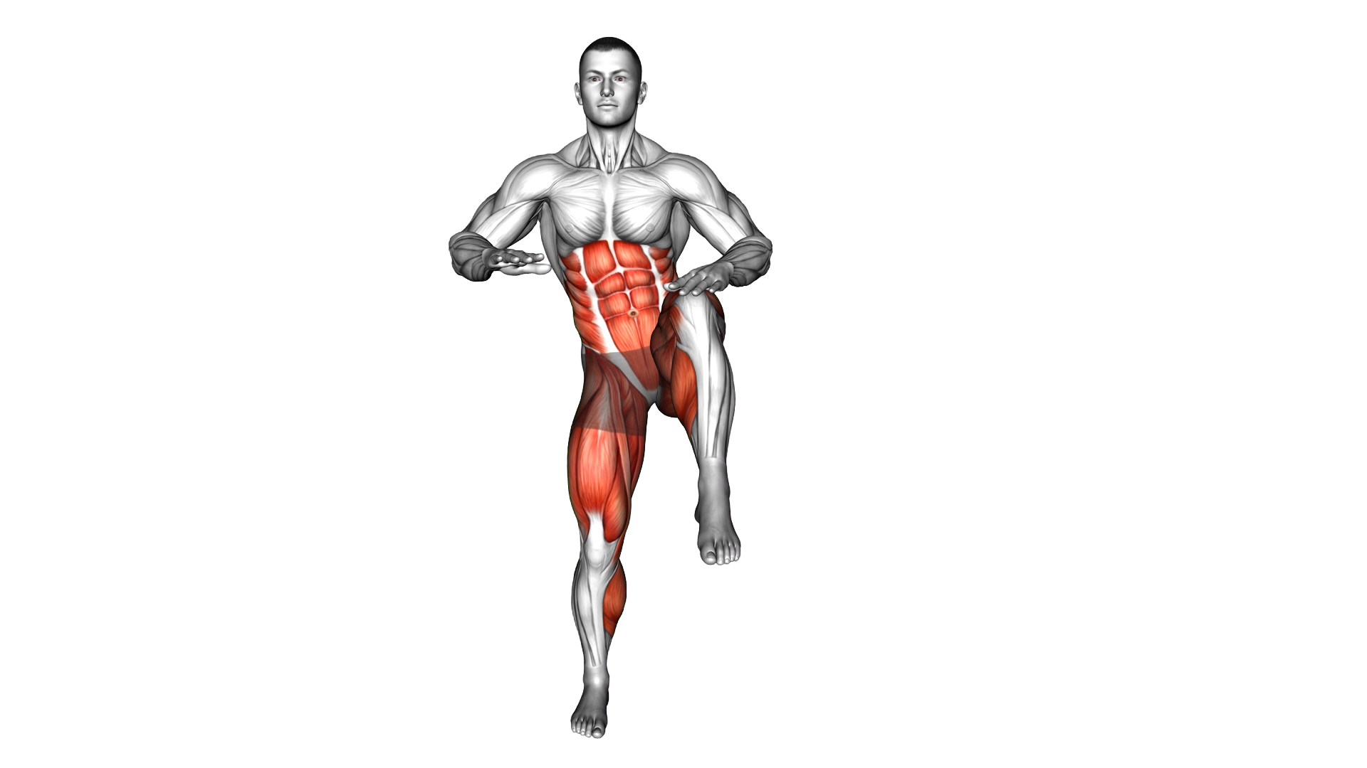 High Knee Tap exercise demonstration