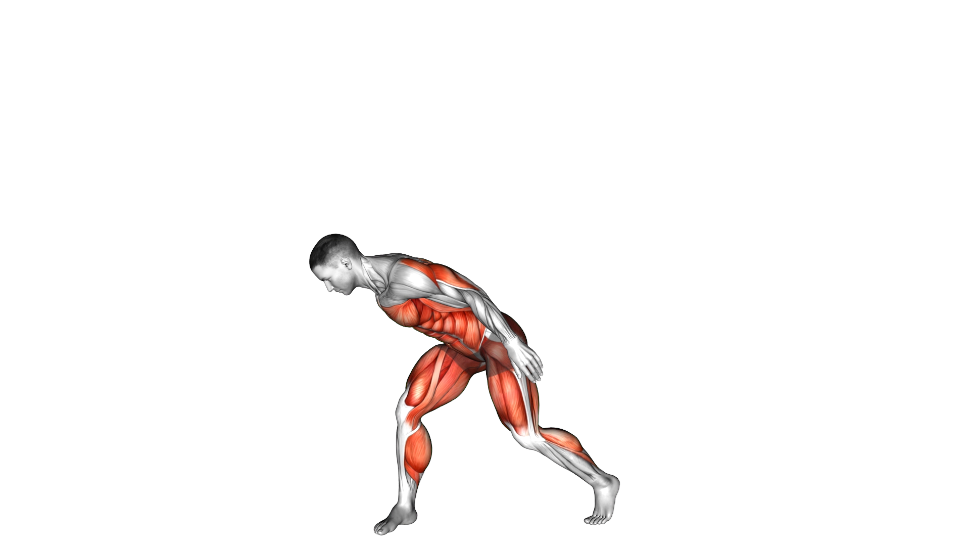 Twist Turn Slam exercise demonstration