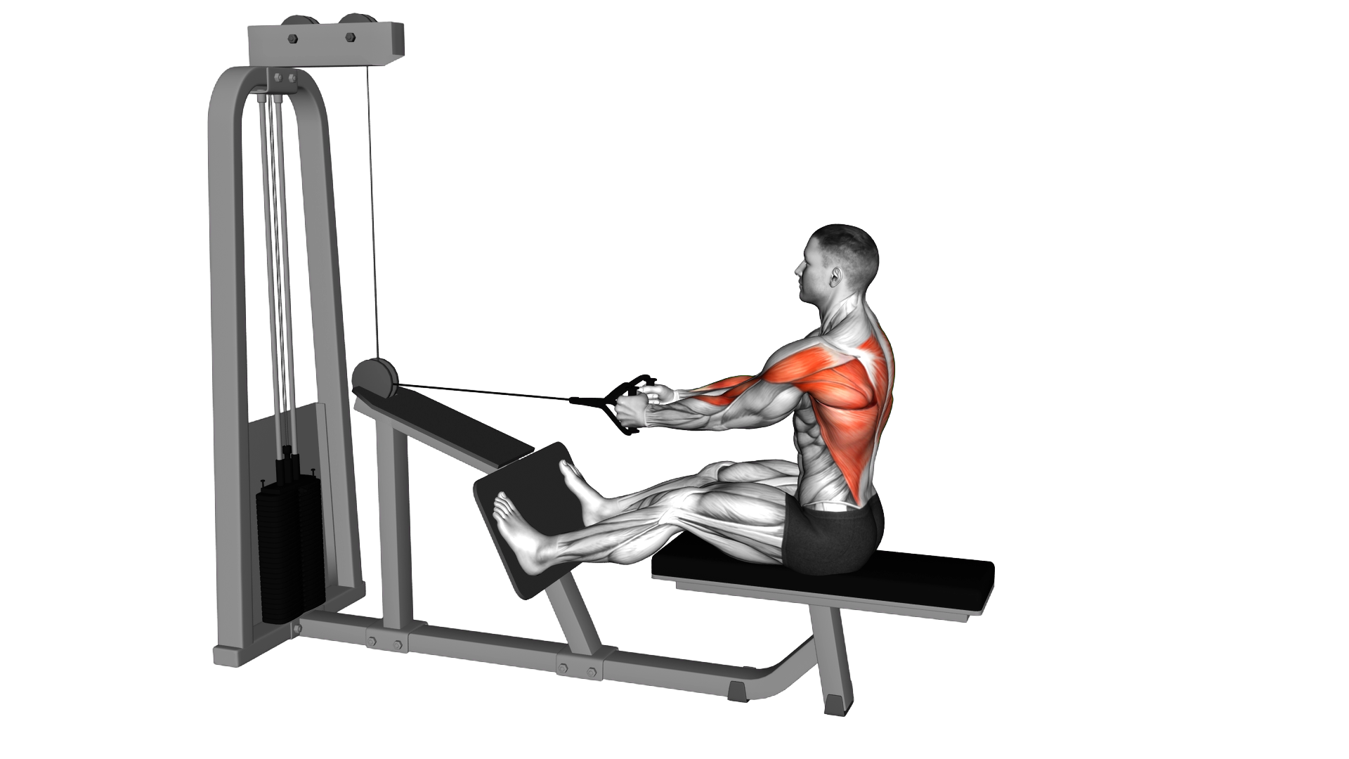 Cable Seated Lats Focused Row exercise demonstration