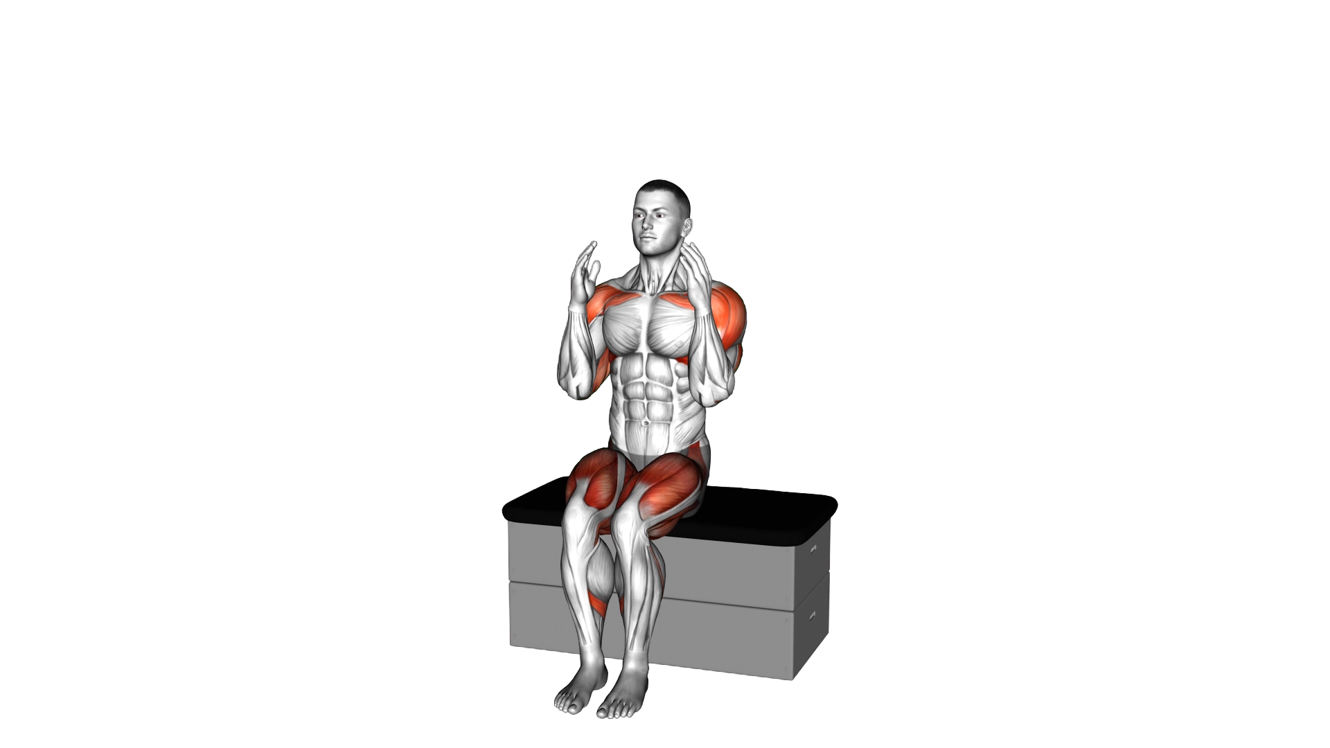 Sitting Shoulder Press and Hip Abduction on a padd exercise demonstration