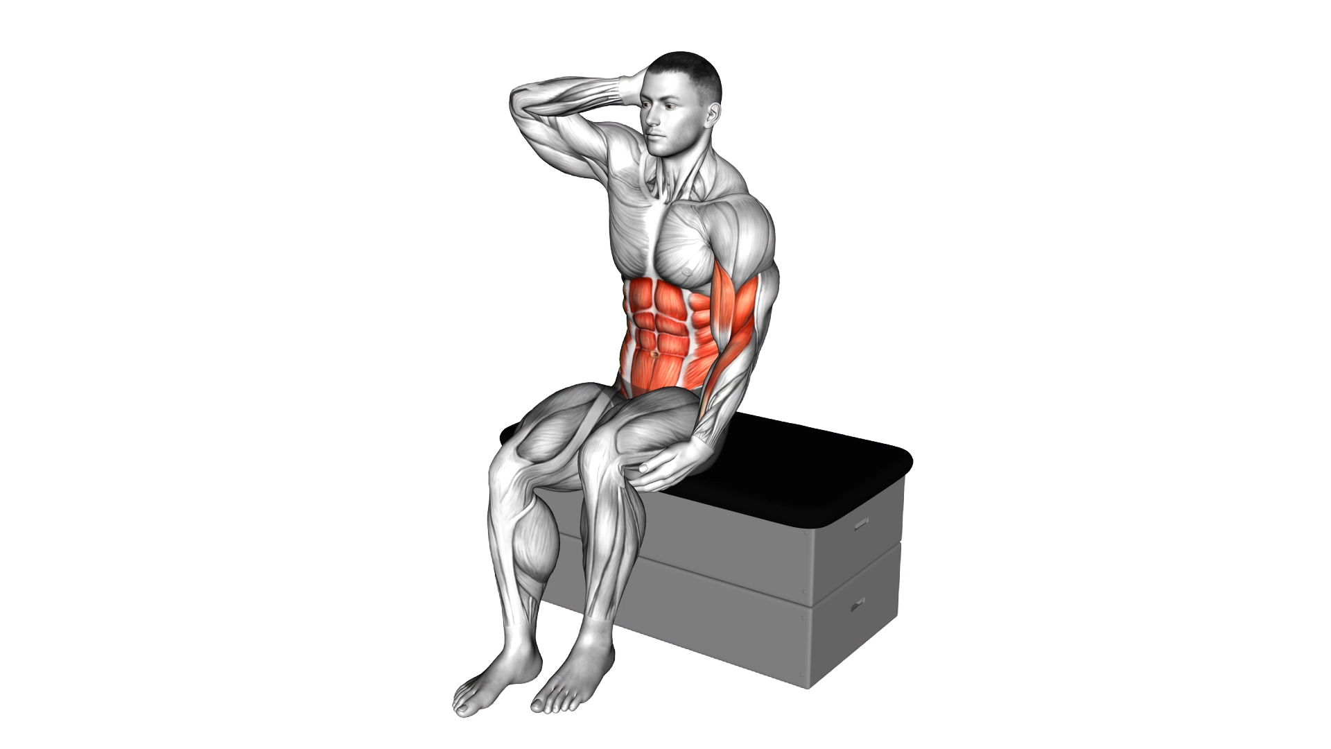 Sitting Side Crunch on a padded stool exercise demonstration