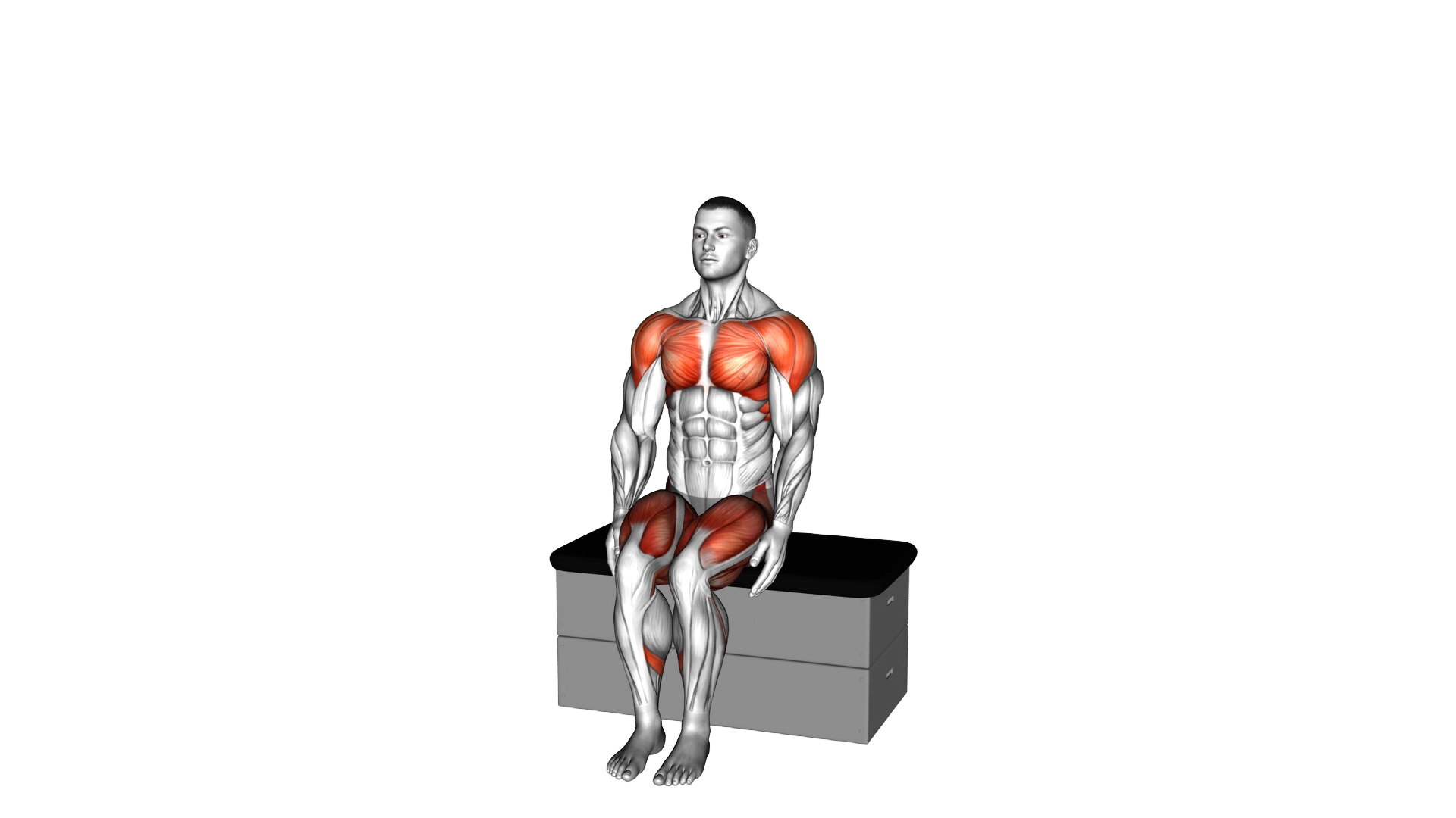 Sitting Jack on a padded stool exercise demonstration