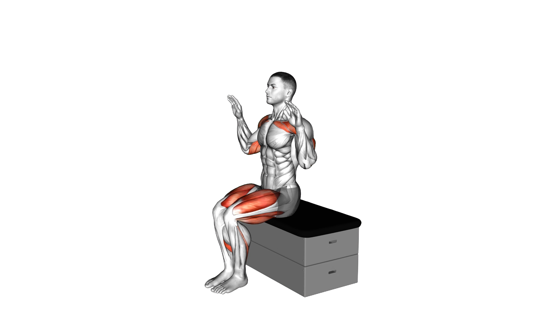 Sitting Incline Press StepOut on a padded stool exercise demonstration